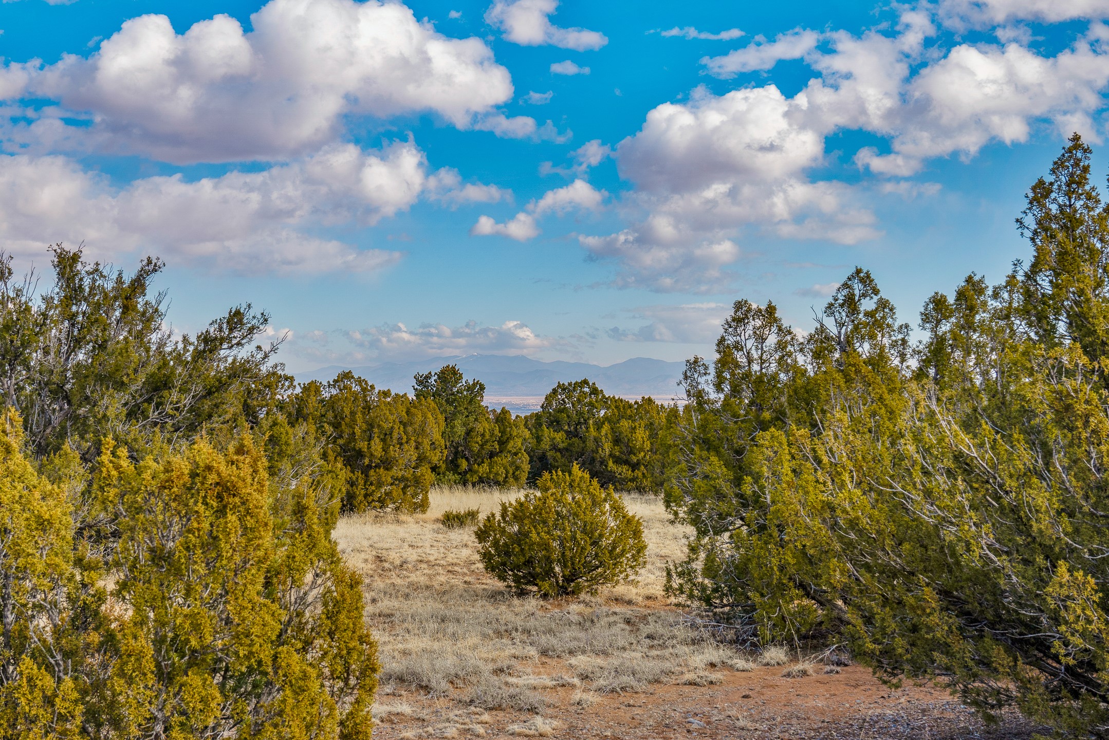 156 Wagon Trail