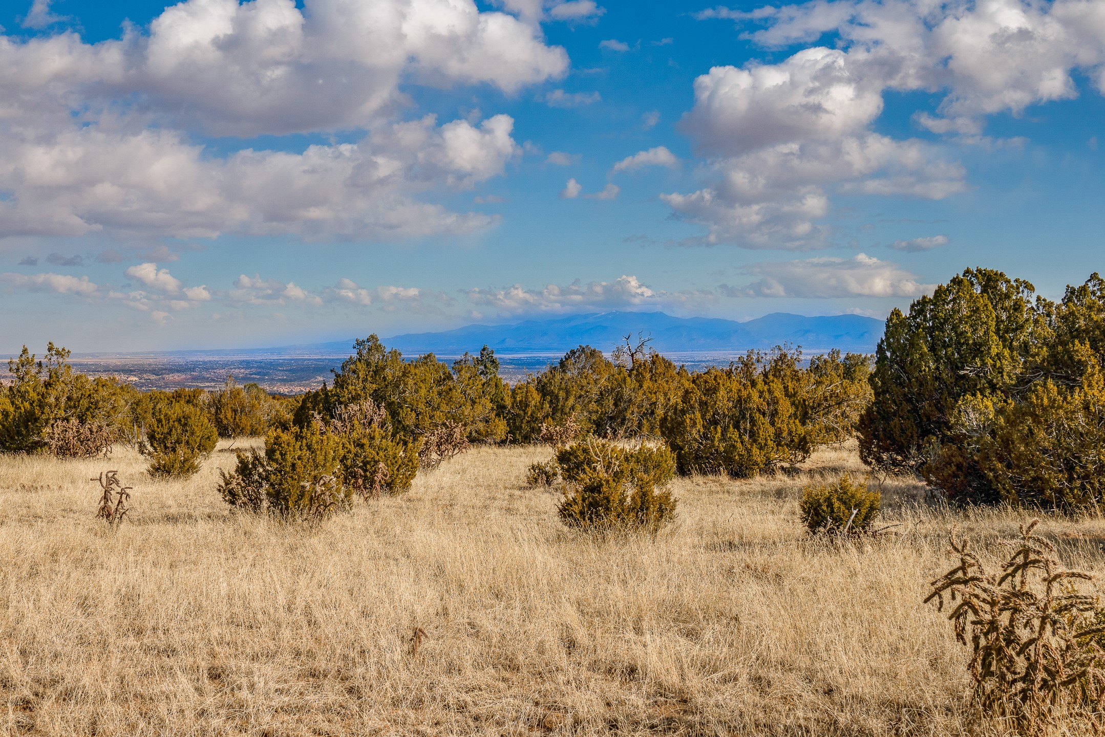 156 Wagon Trail