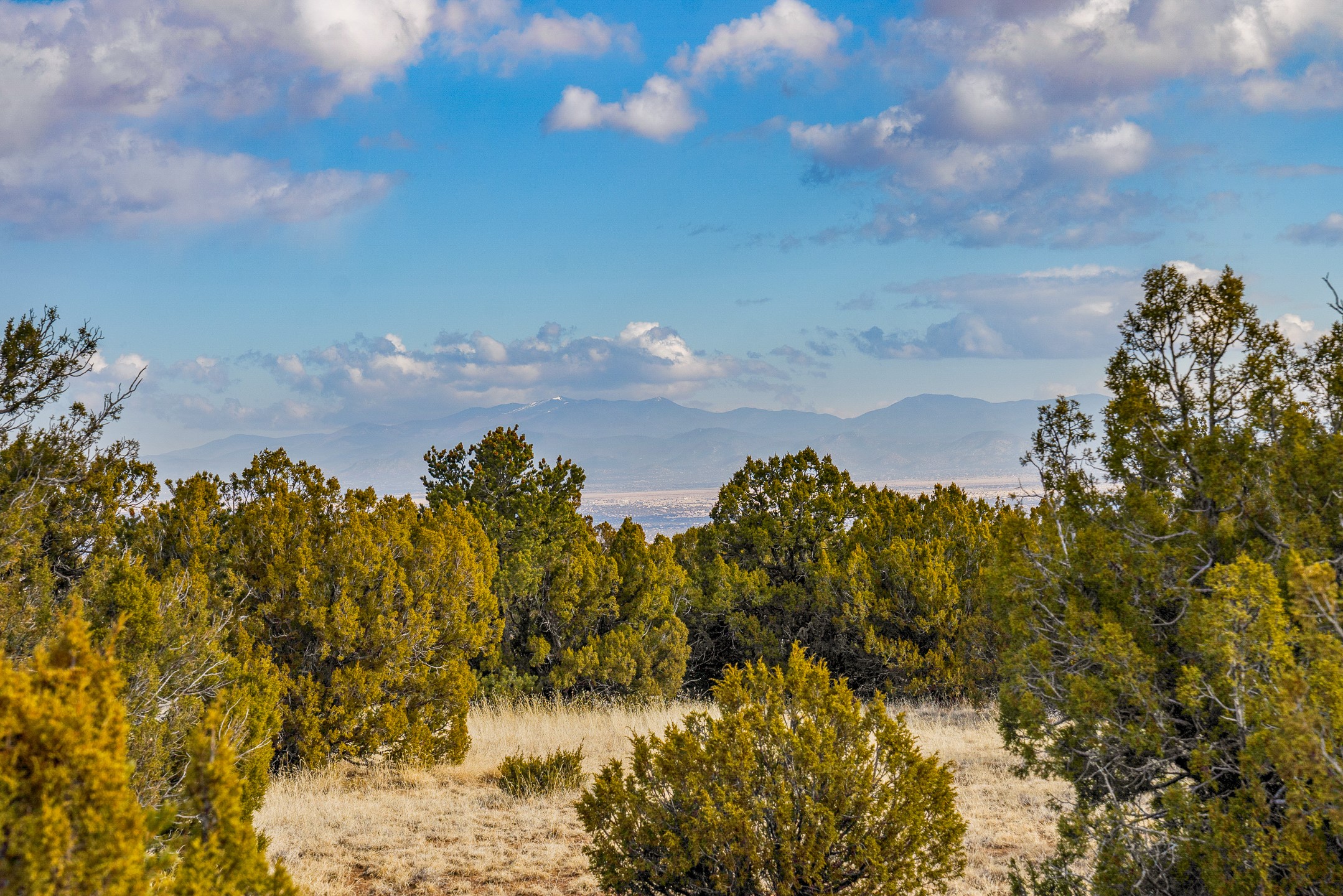 156 Wagon Trail