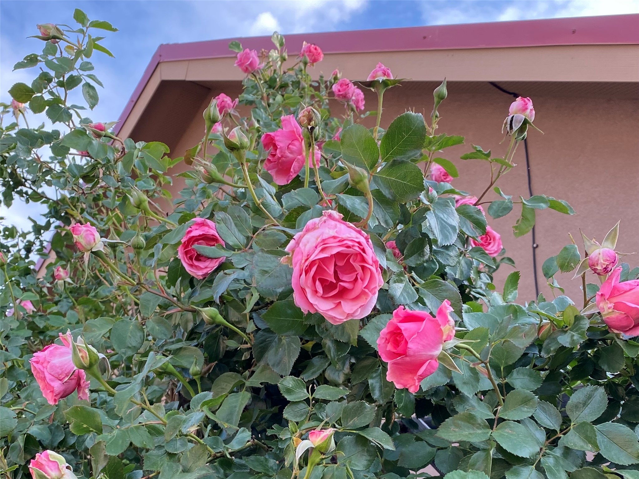 5313 Circita del Sur