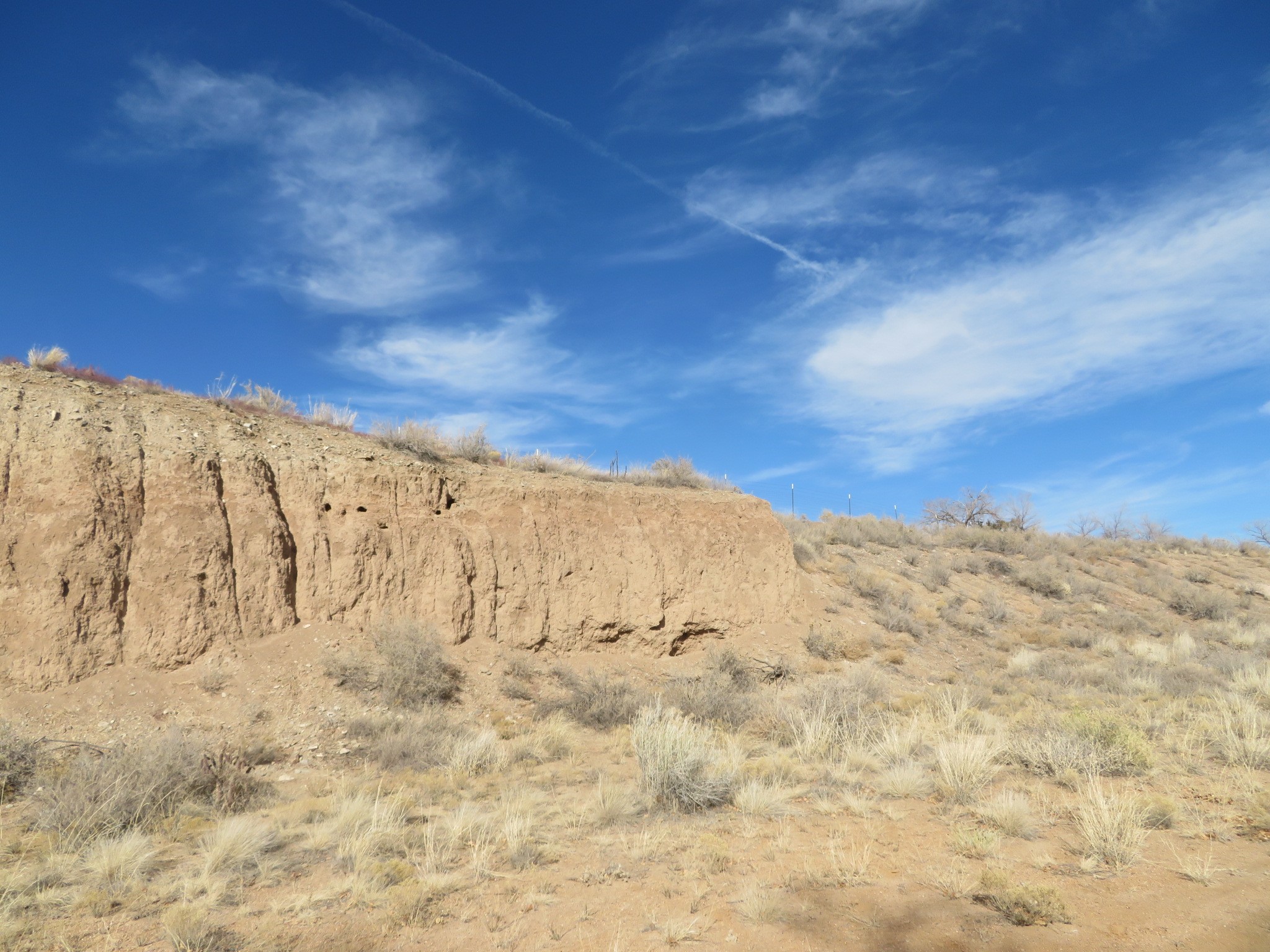 44 Yerba Buena