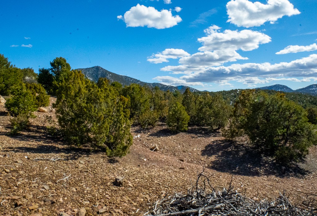 Lot 79 Cerro Escondido