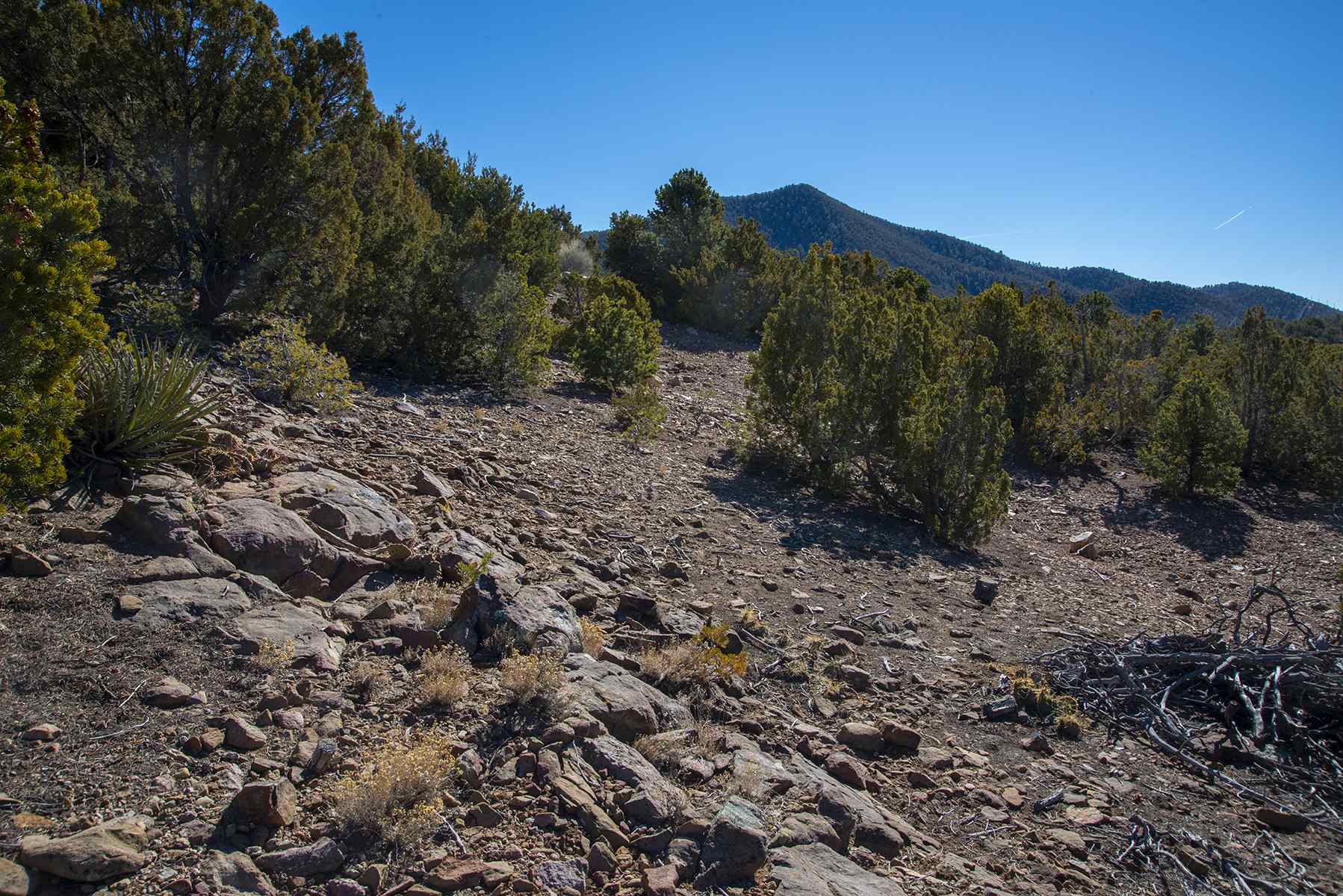 Lot 79 Cerro Escondido