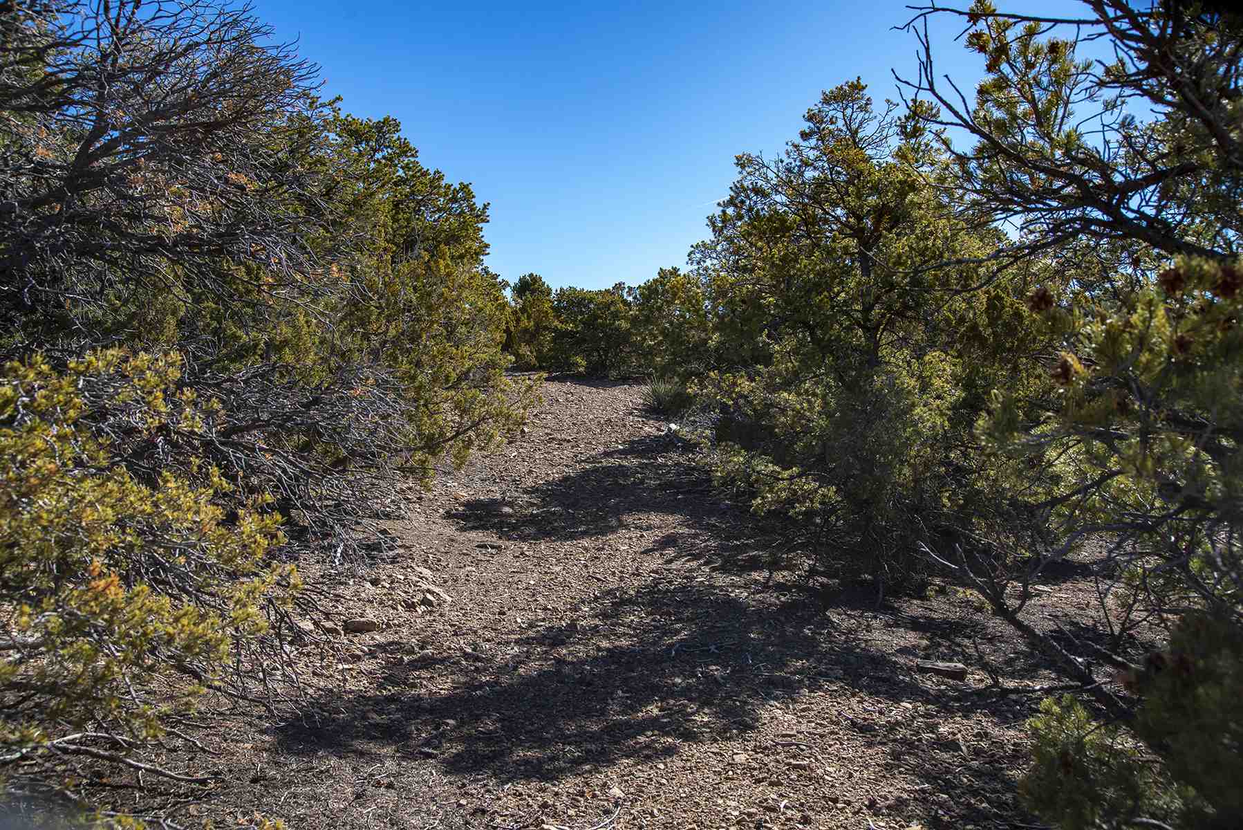 Lot 79 Cerro Escondido