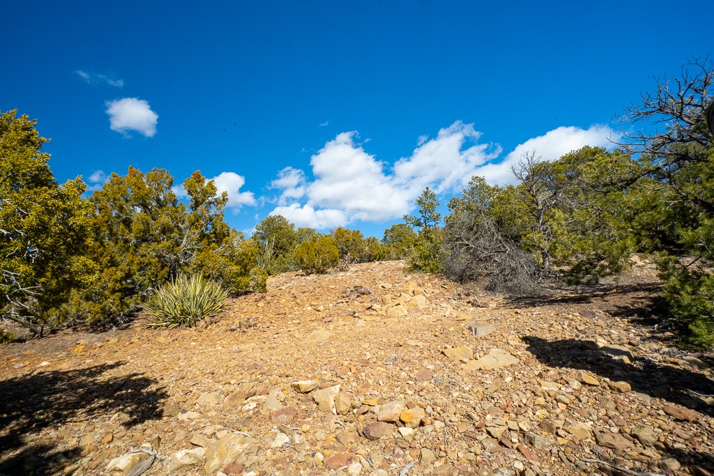 Lot 79 Cerro Escondido