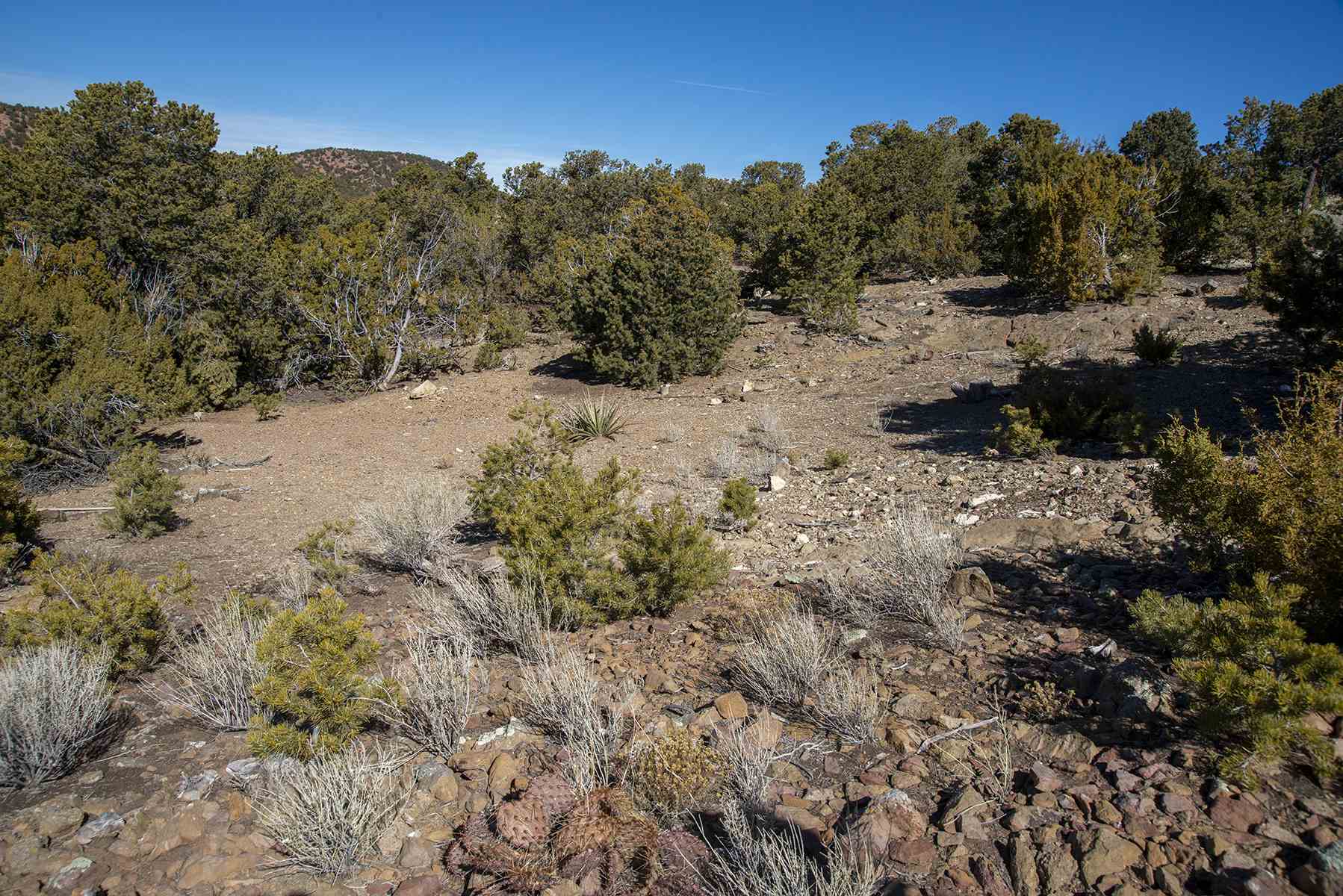 Lot 79 Cerro Escondido