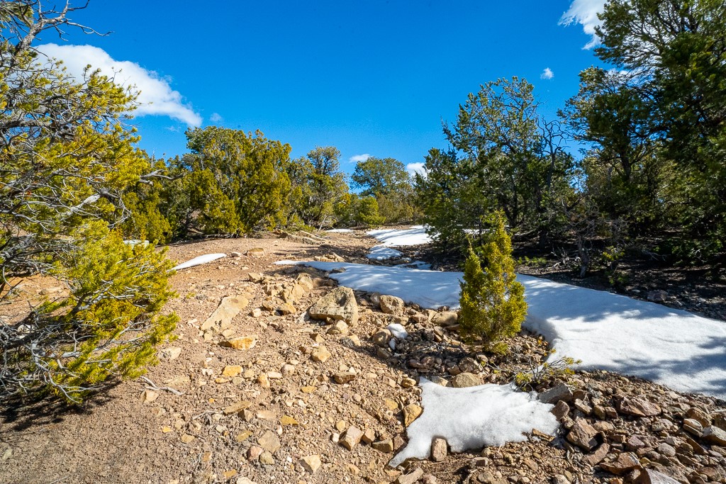 Lot 79 Cerro Escondido