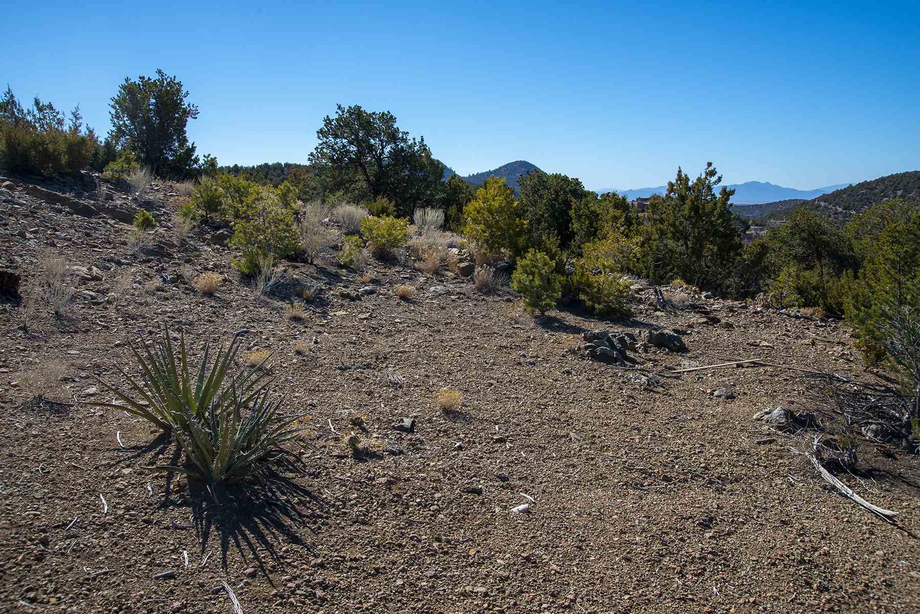Lot 79 Cerro Escondido