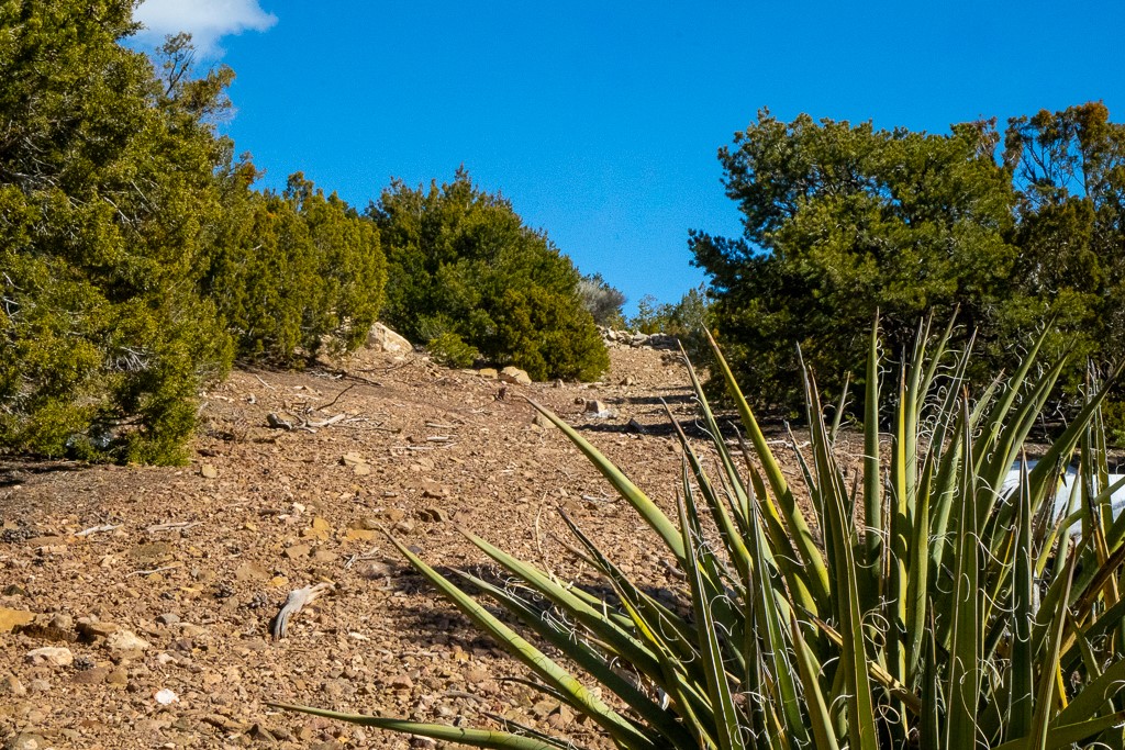 Lot 79 Cerro Escondido