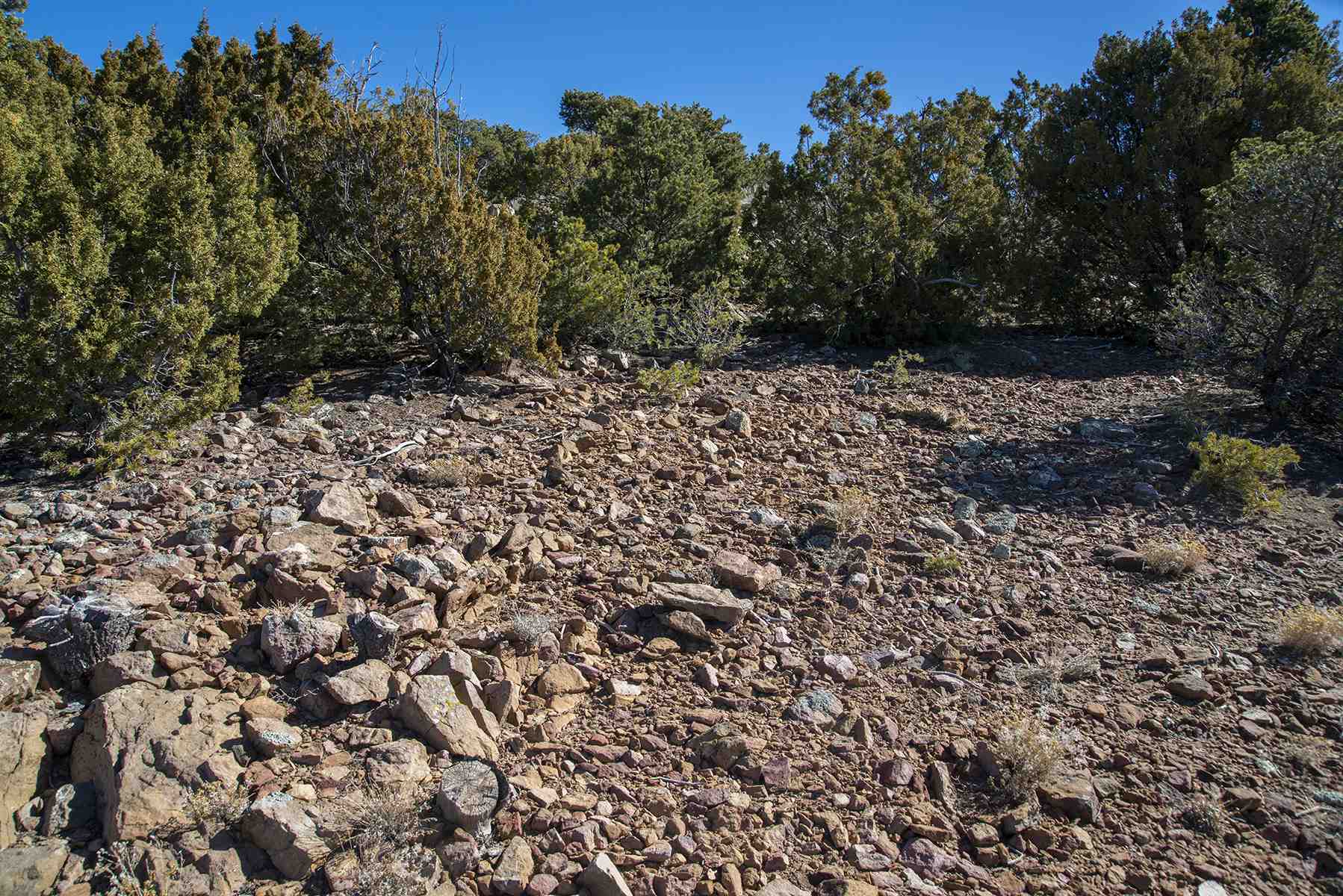 Lot 79 Cerro Escondido