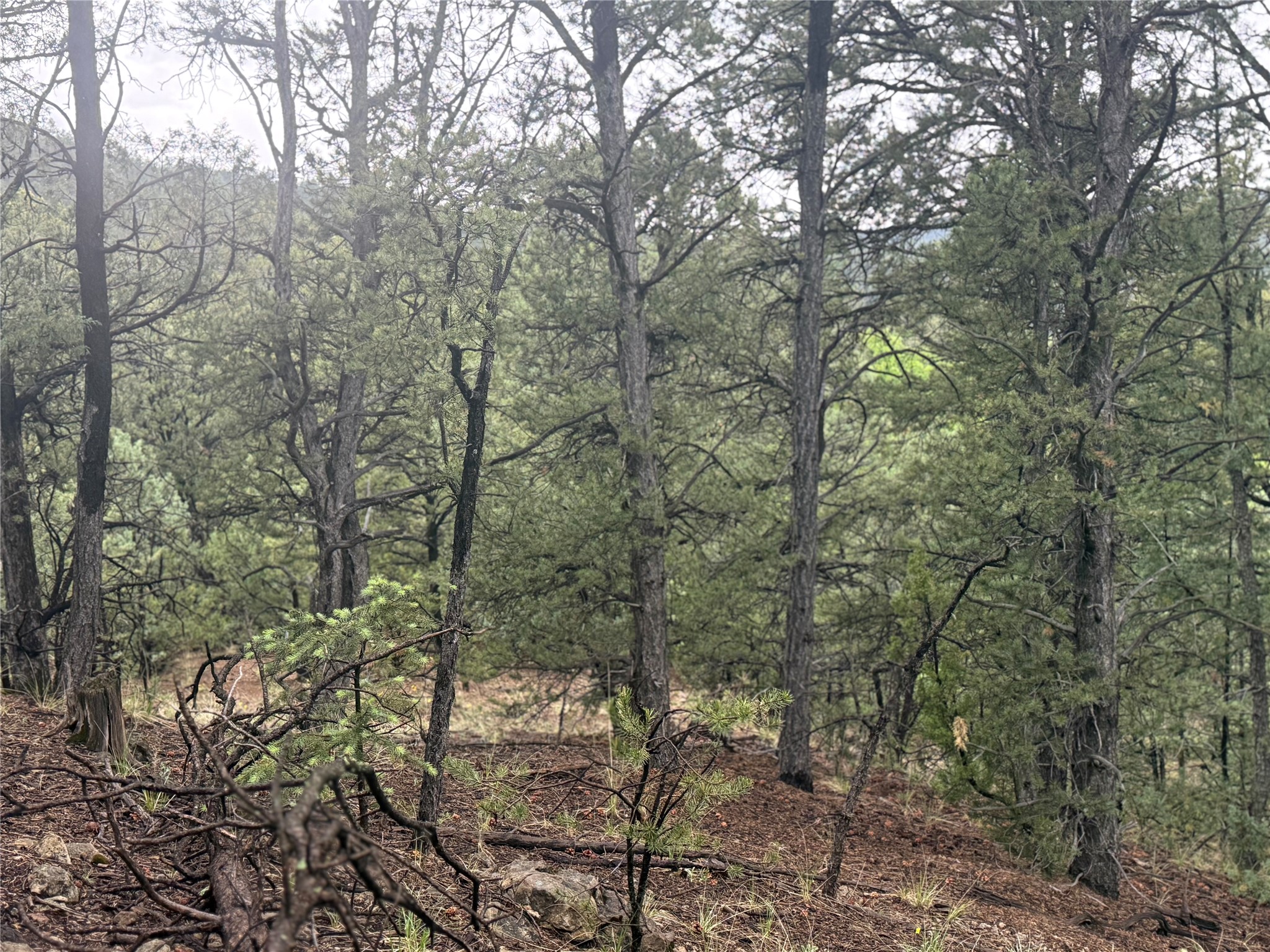1 Acre Highway 63