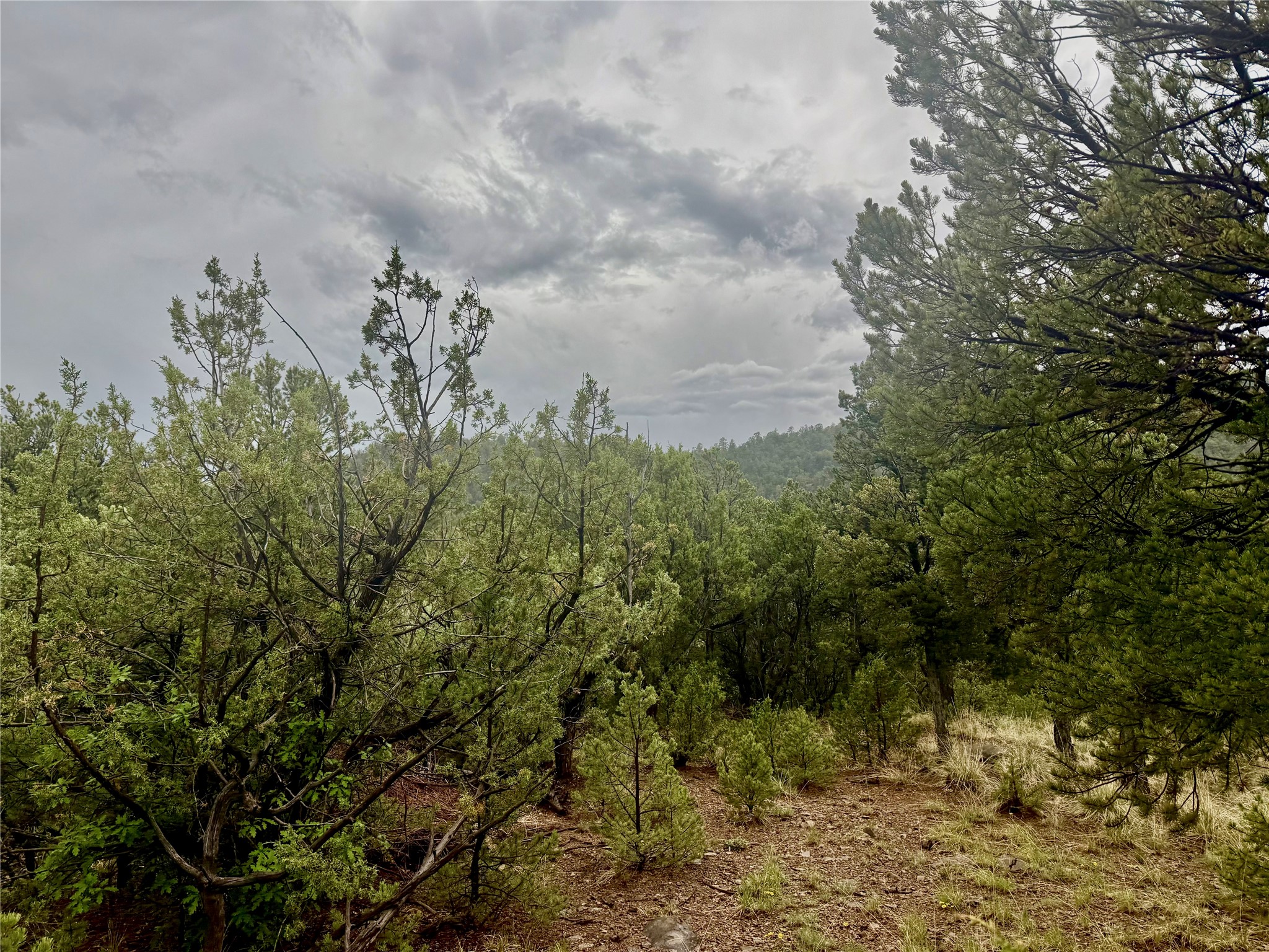 1 Acre Highway 63