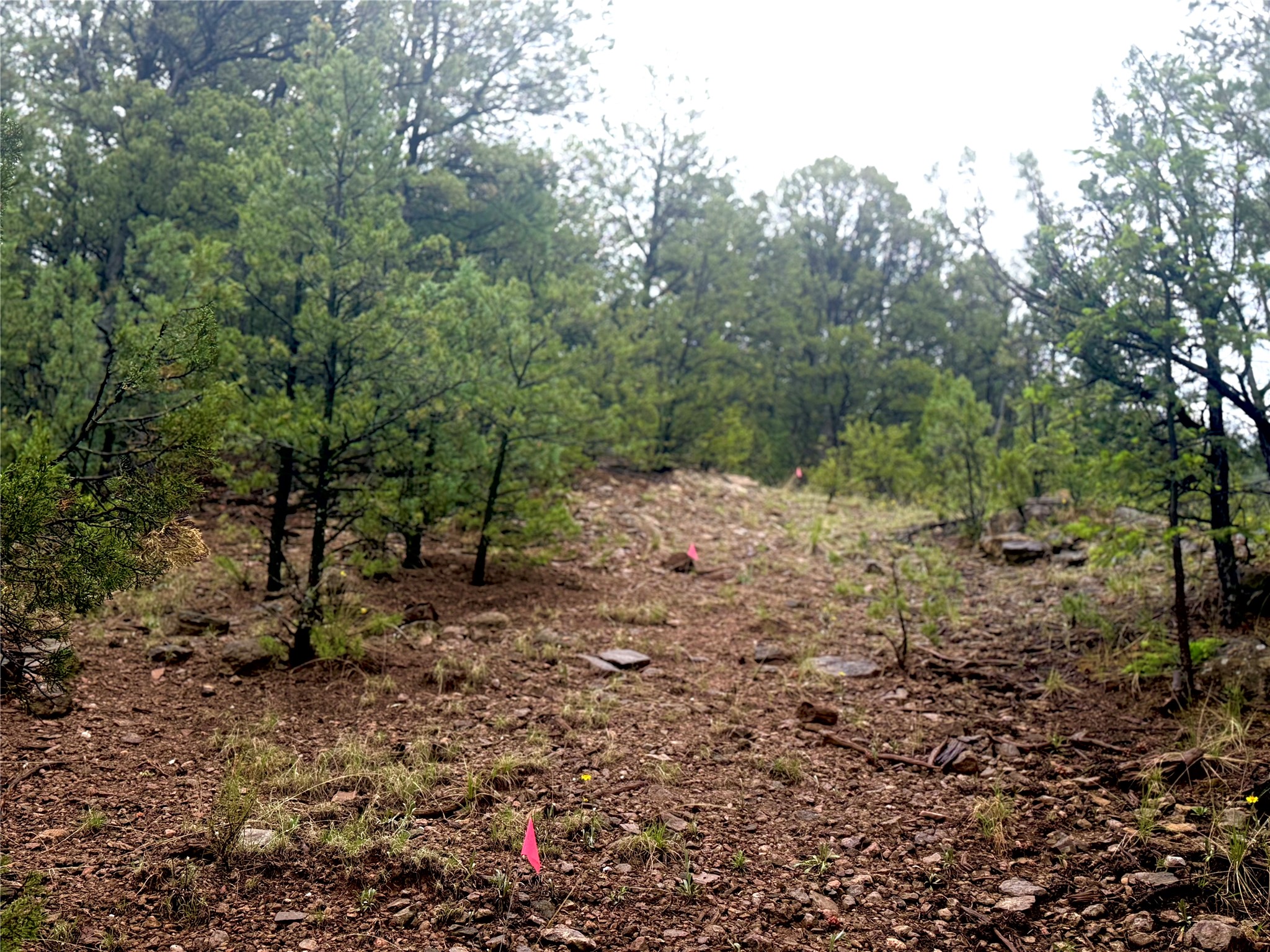 1 Acre Highway 63