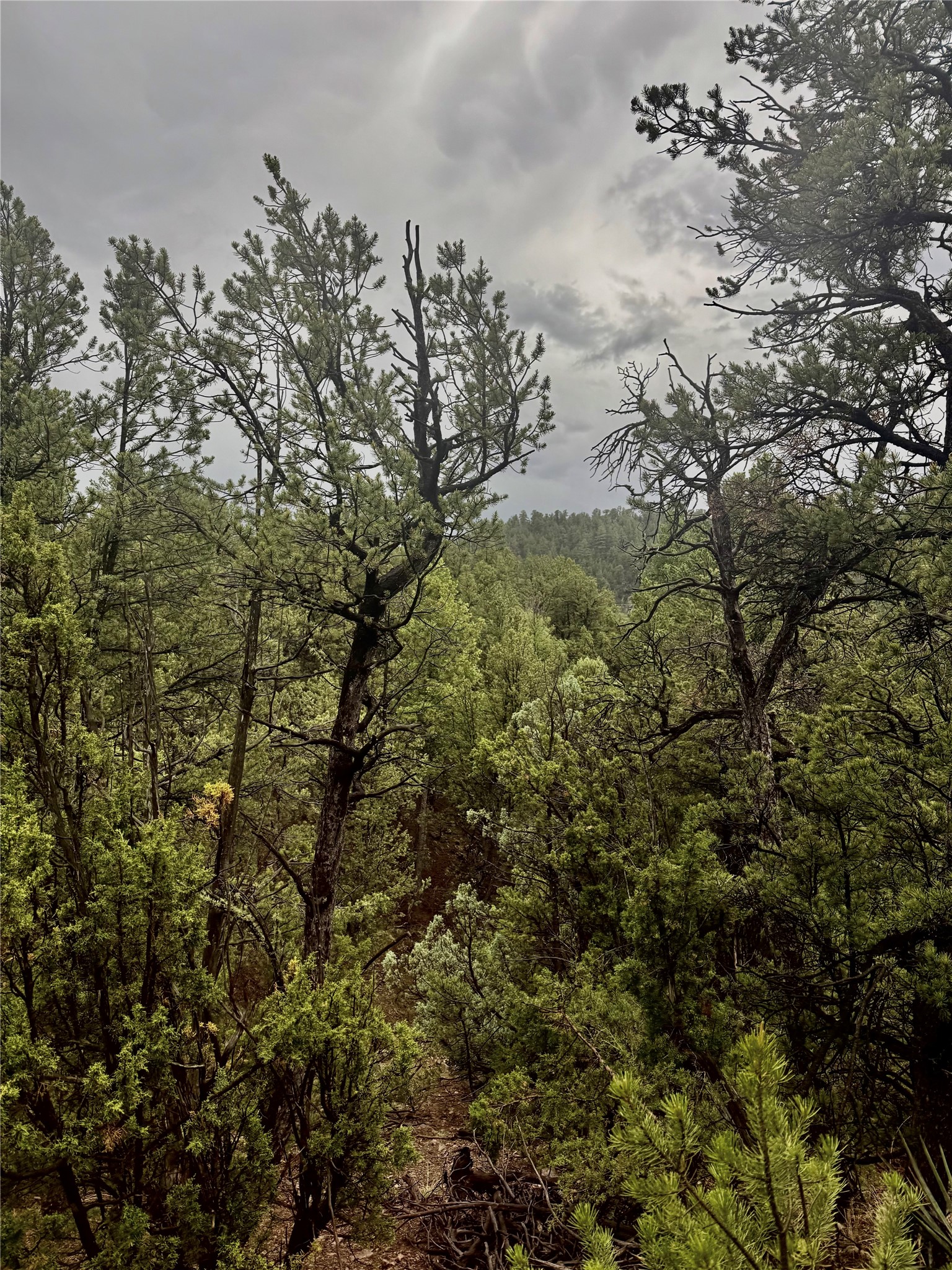 1 Acre Highway 63