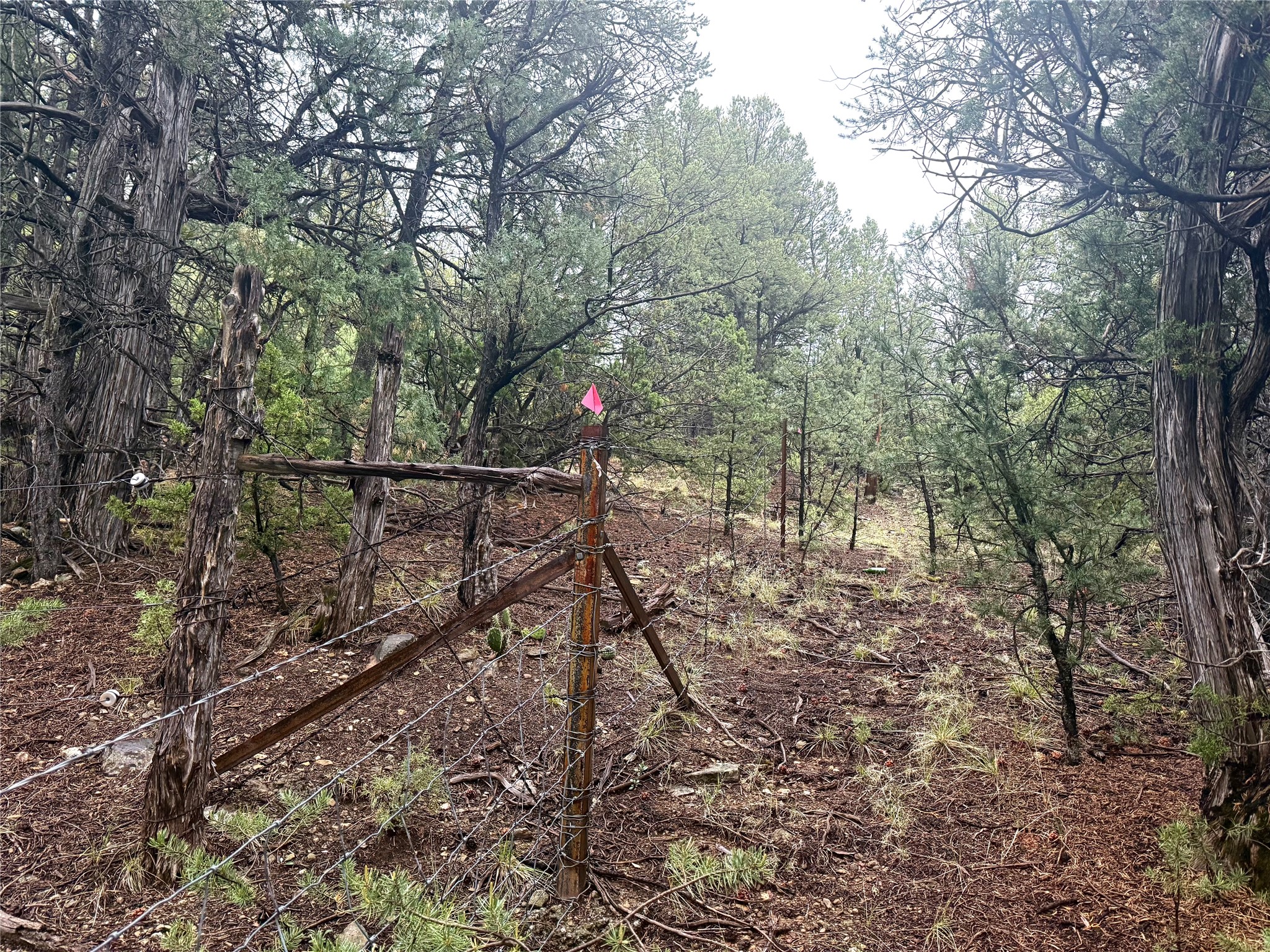 1 Acre Highway 63