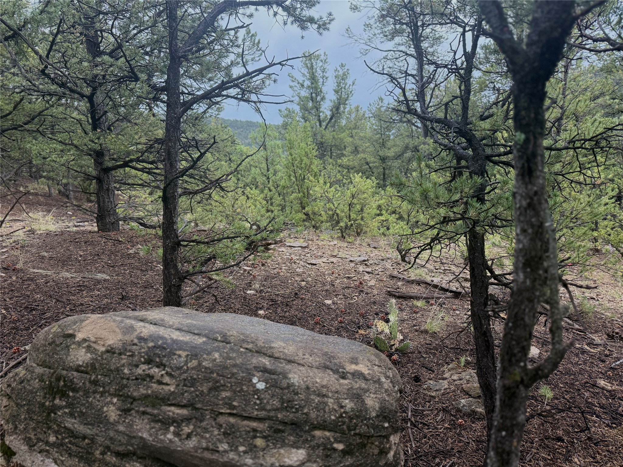 1 Acre Highway 63