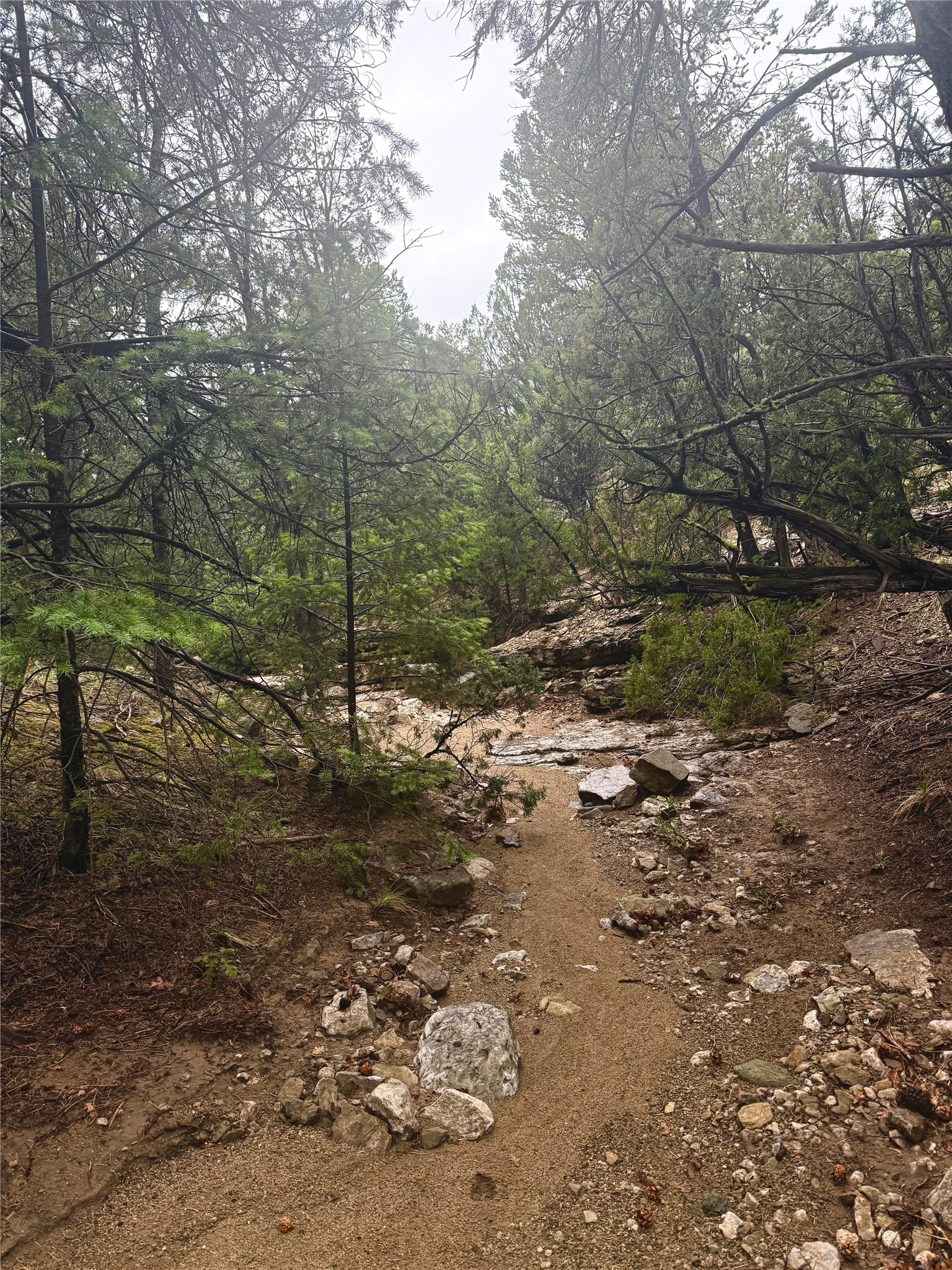 1 Acre Highway 63