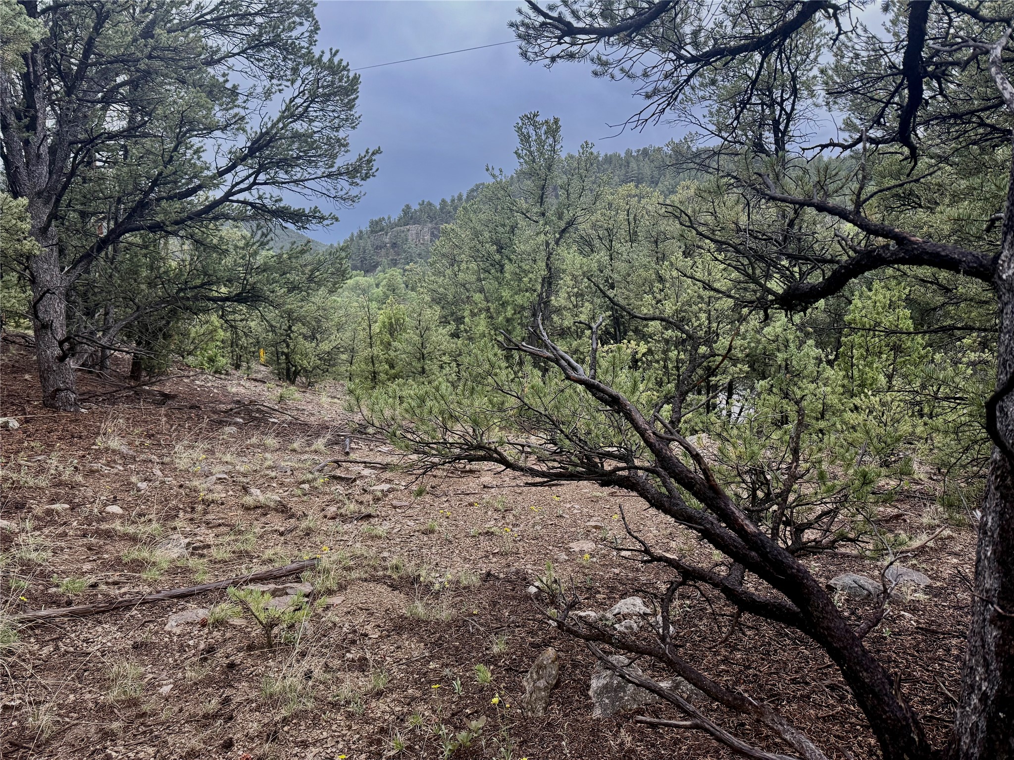 1 Acre Highway 63