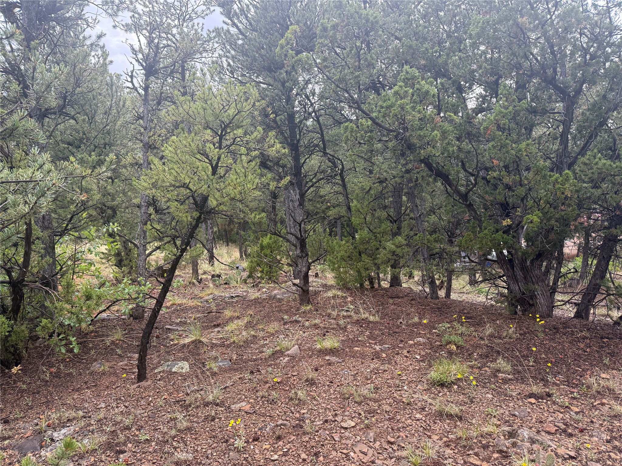 1 Acre Highway 63