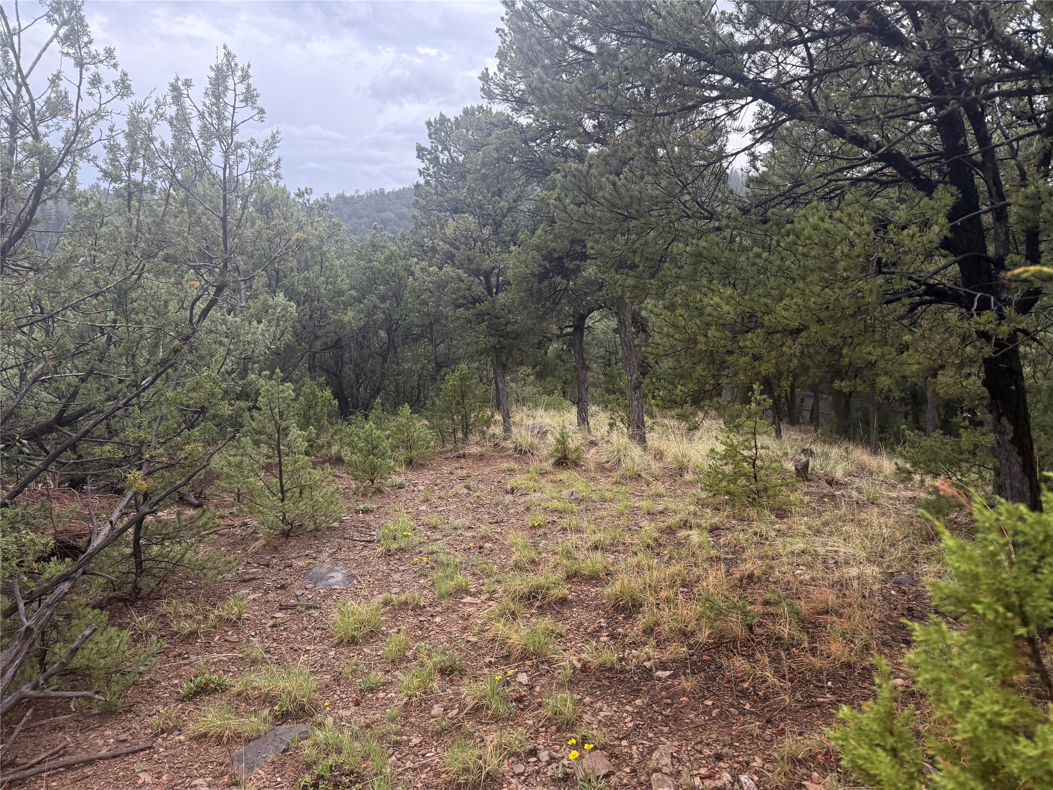 1 Acre Highway 63