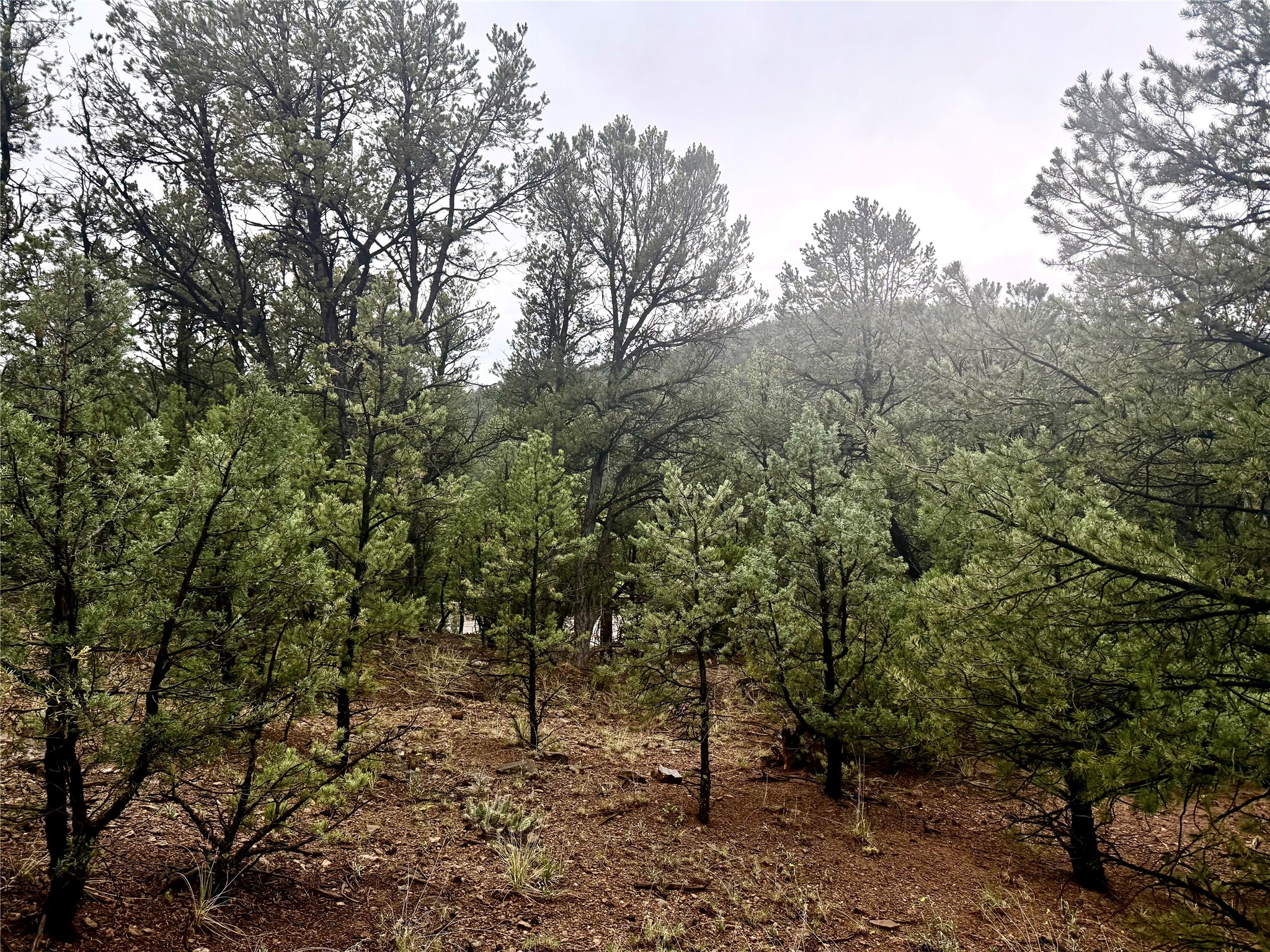 1 Acre Highway 63
