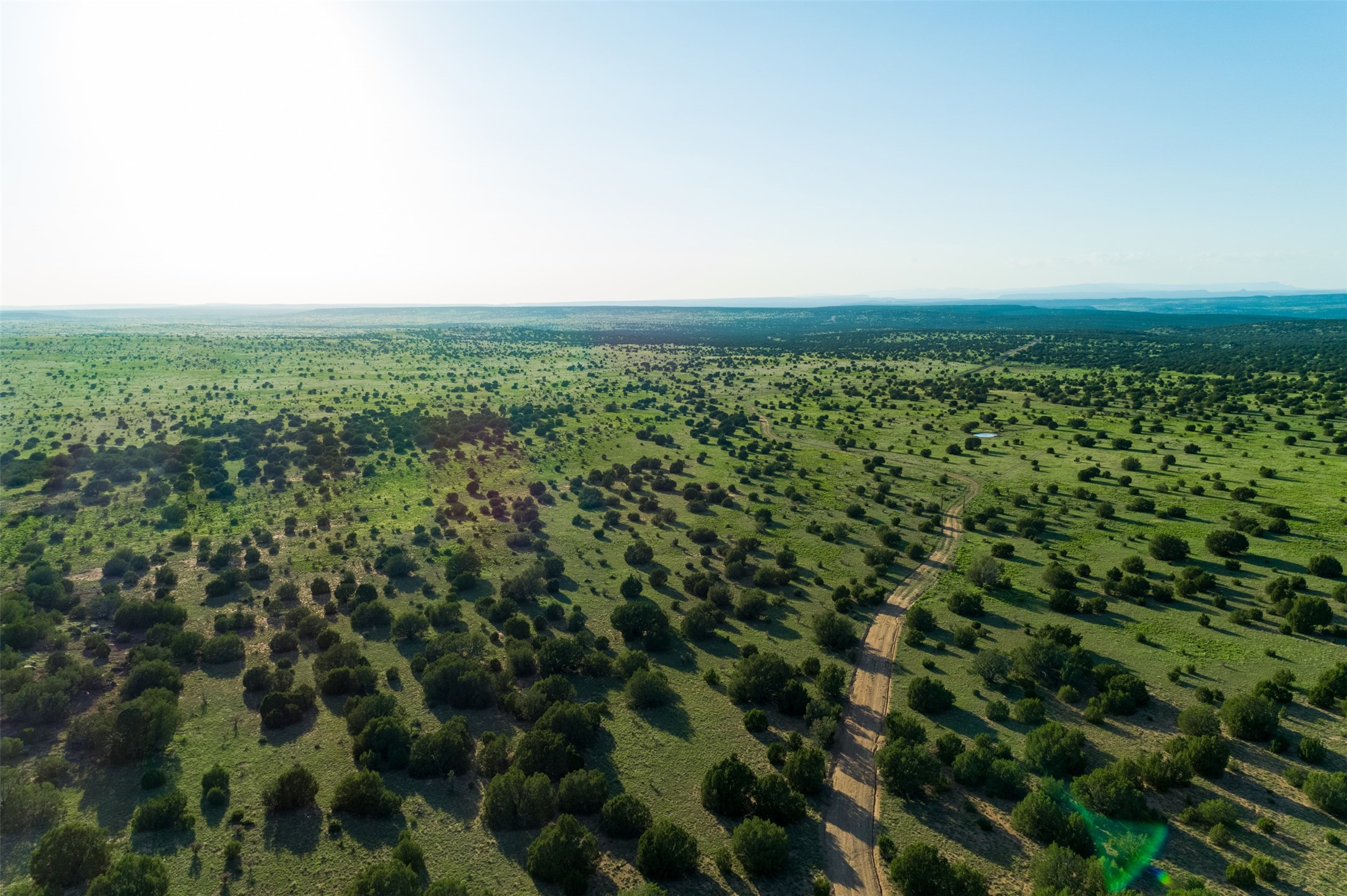 4221 Palo Amarillo Road