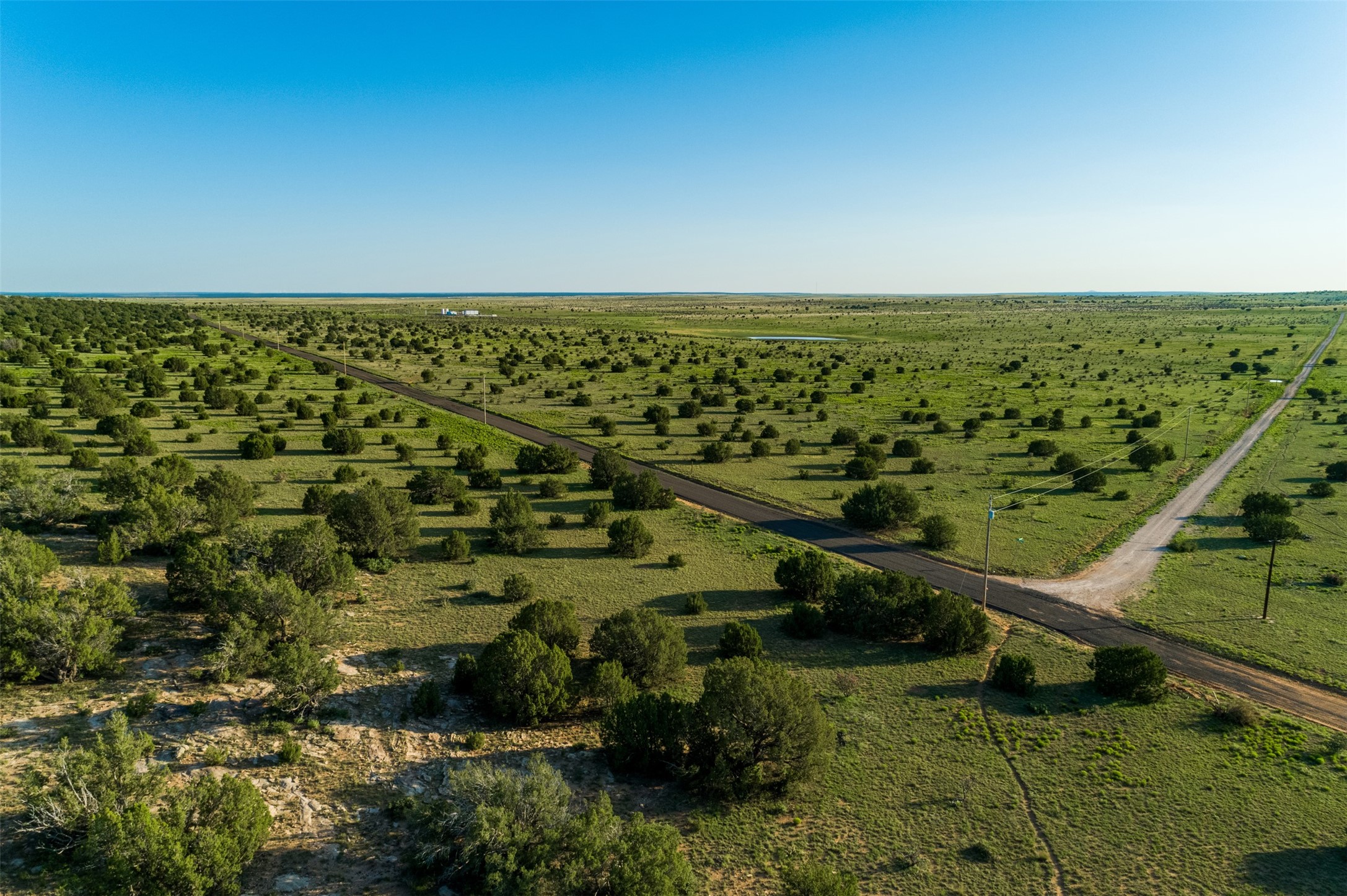 4221 Palo Amarillo Road