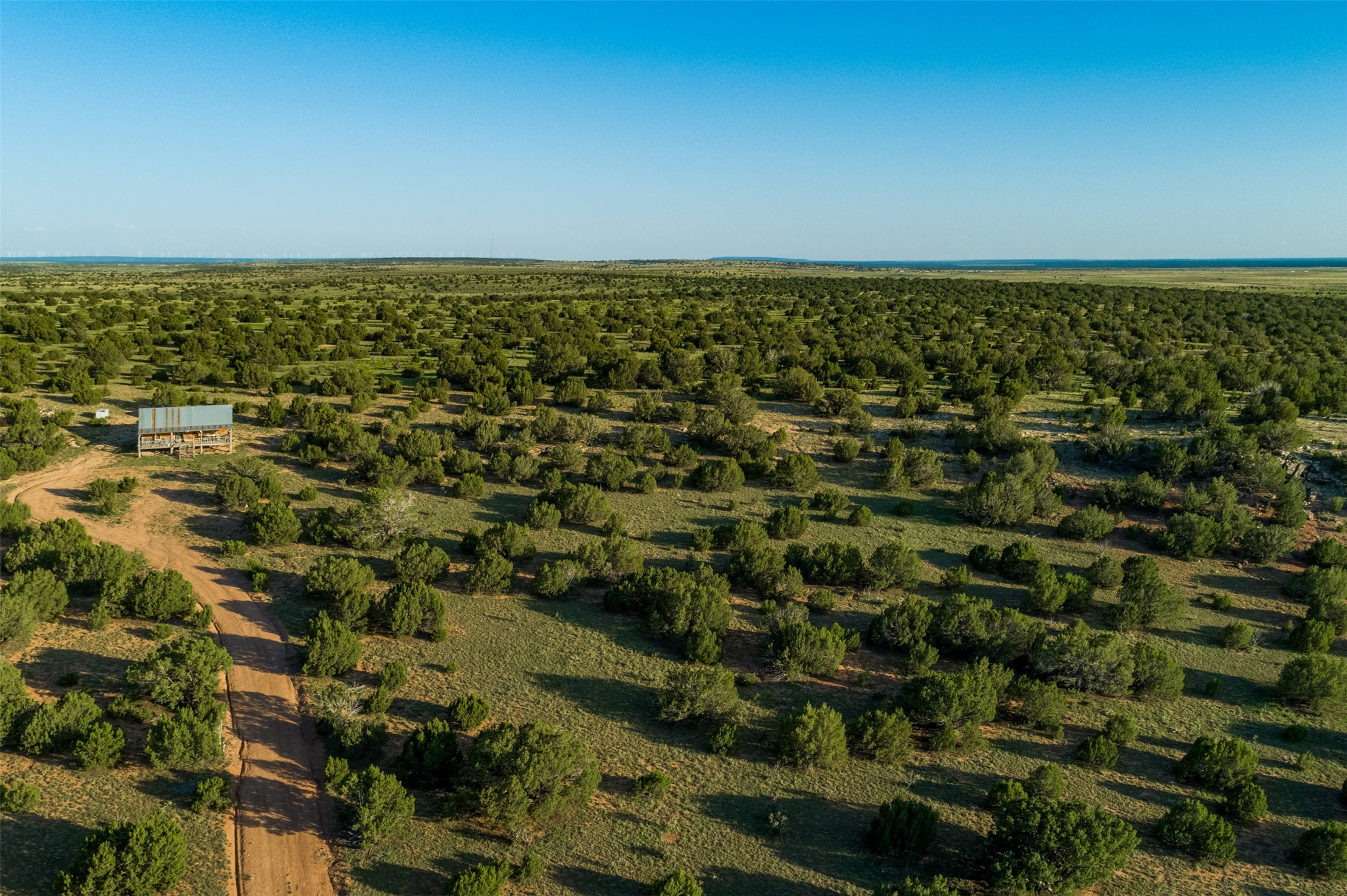 4221 Palo Amarillo Road