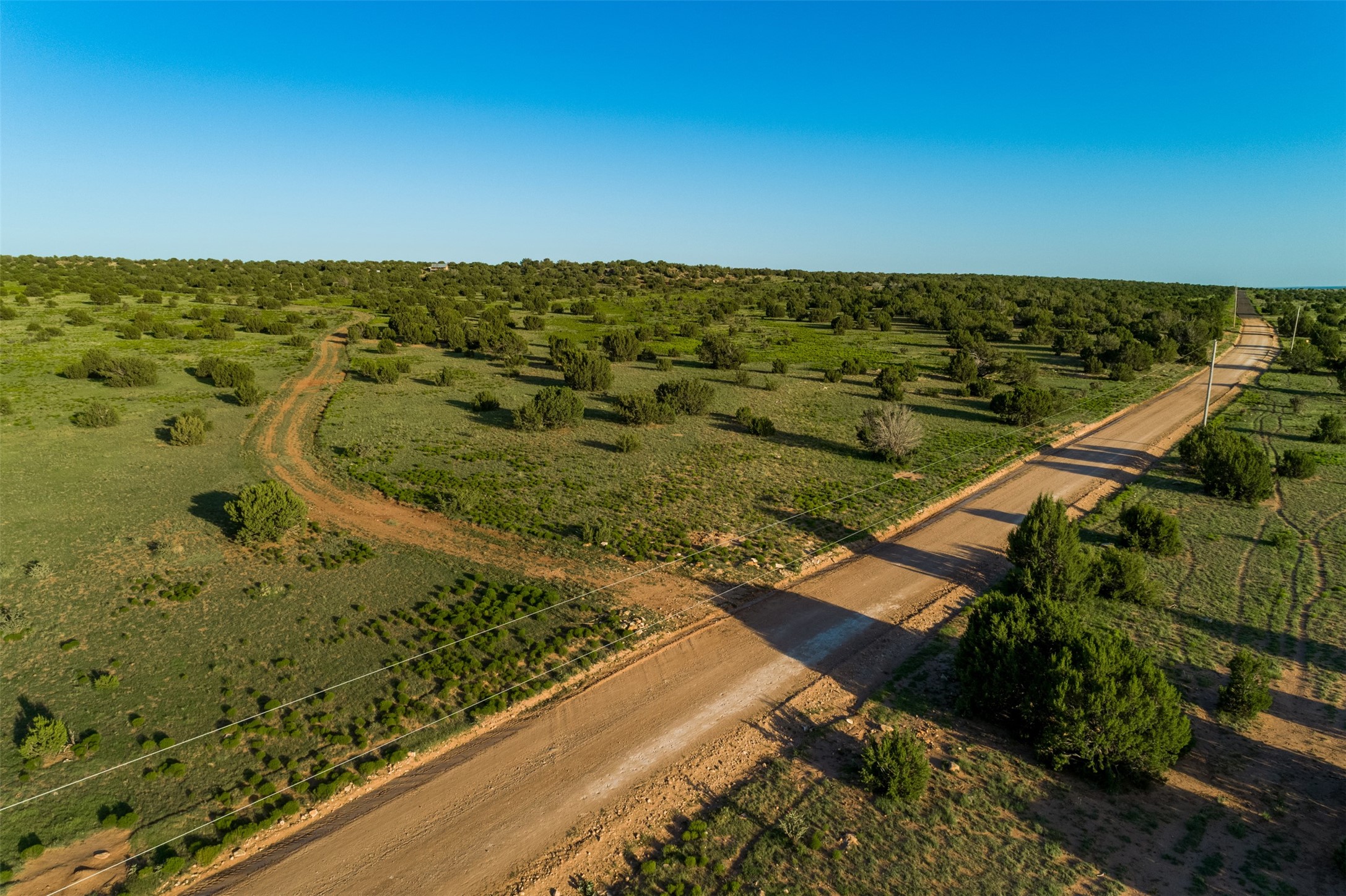 4221 Palo Amarillo Road