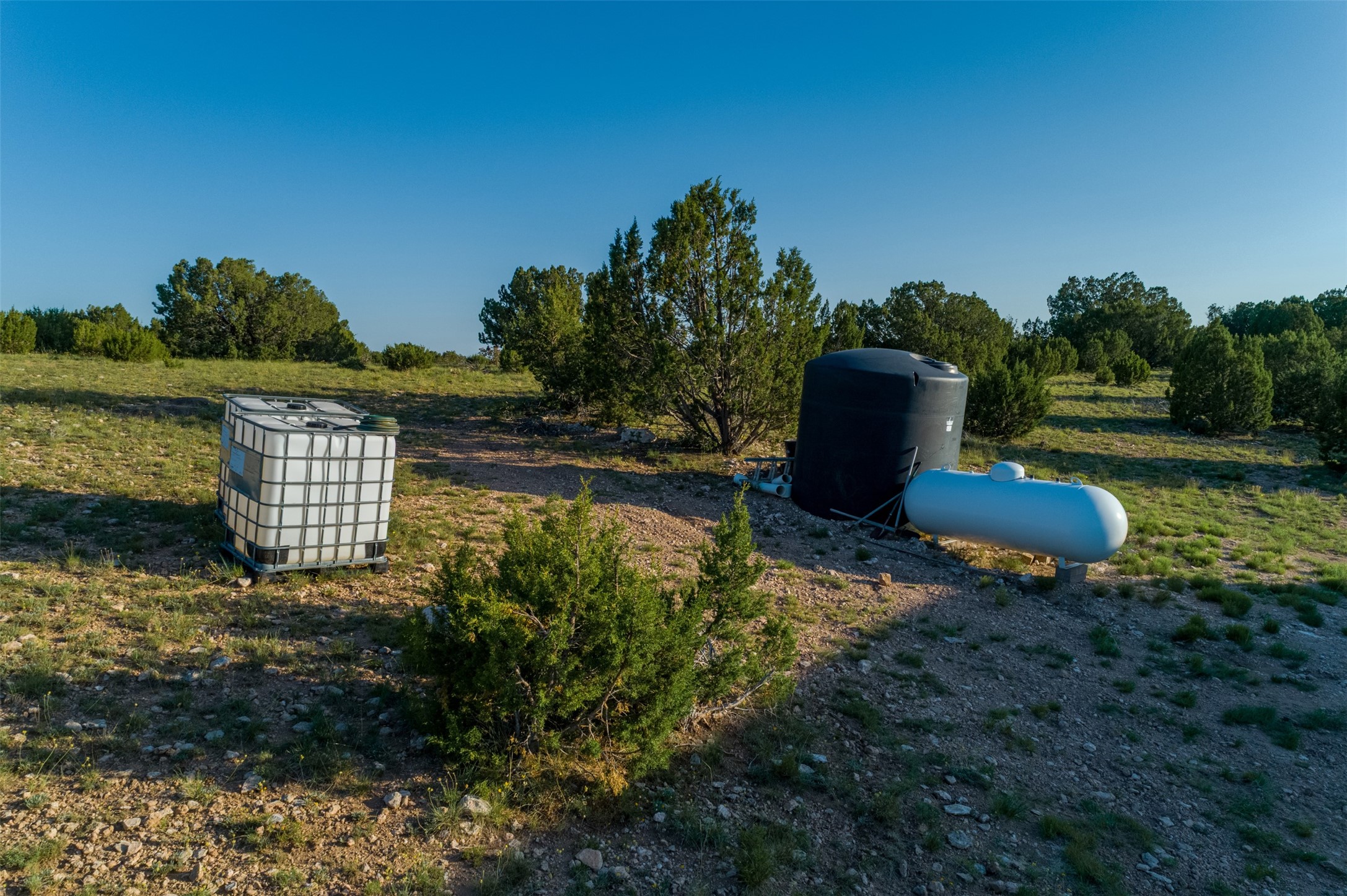 4221 Palo Amarillo Road