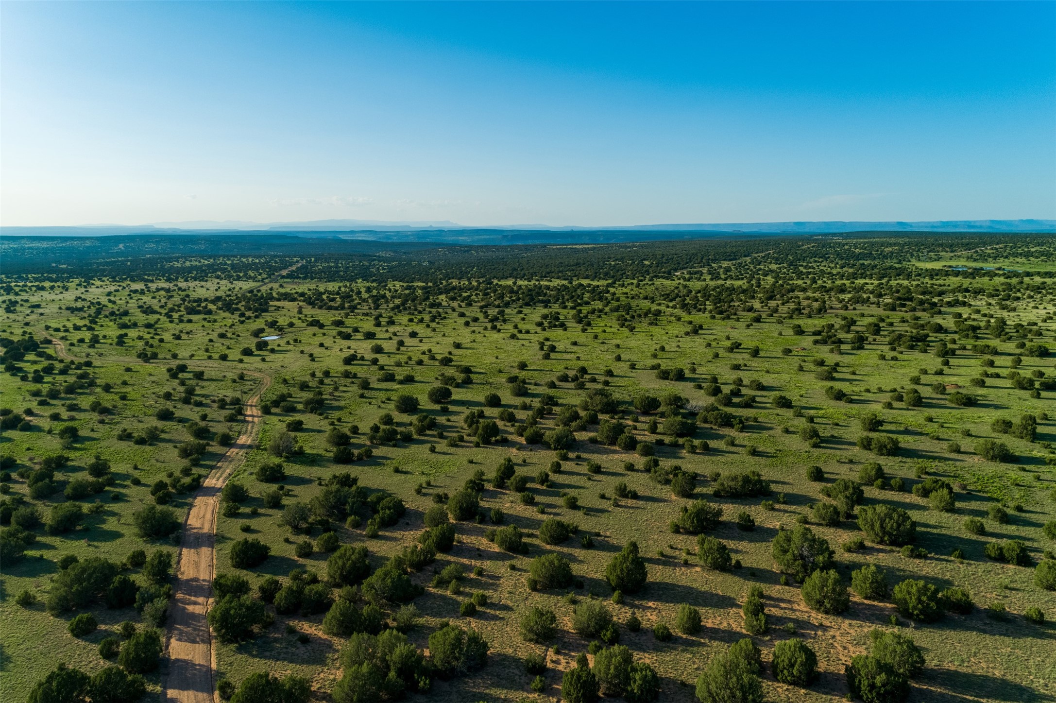 4221 Palo Amarillo Road