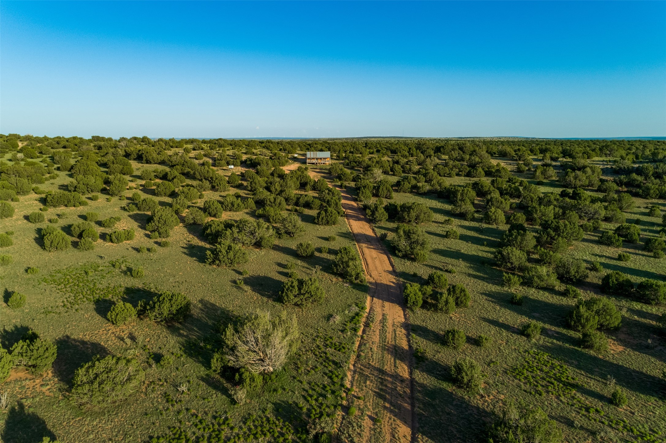 4221 Palo Amarillo Road