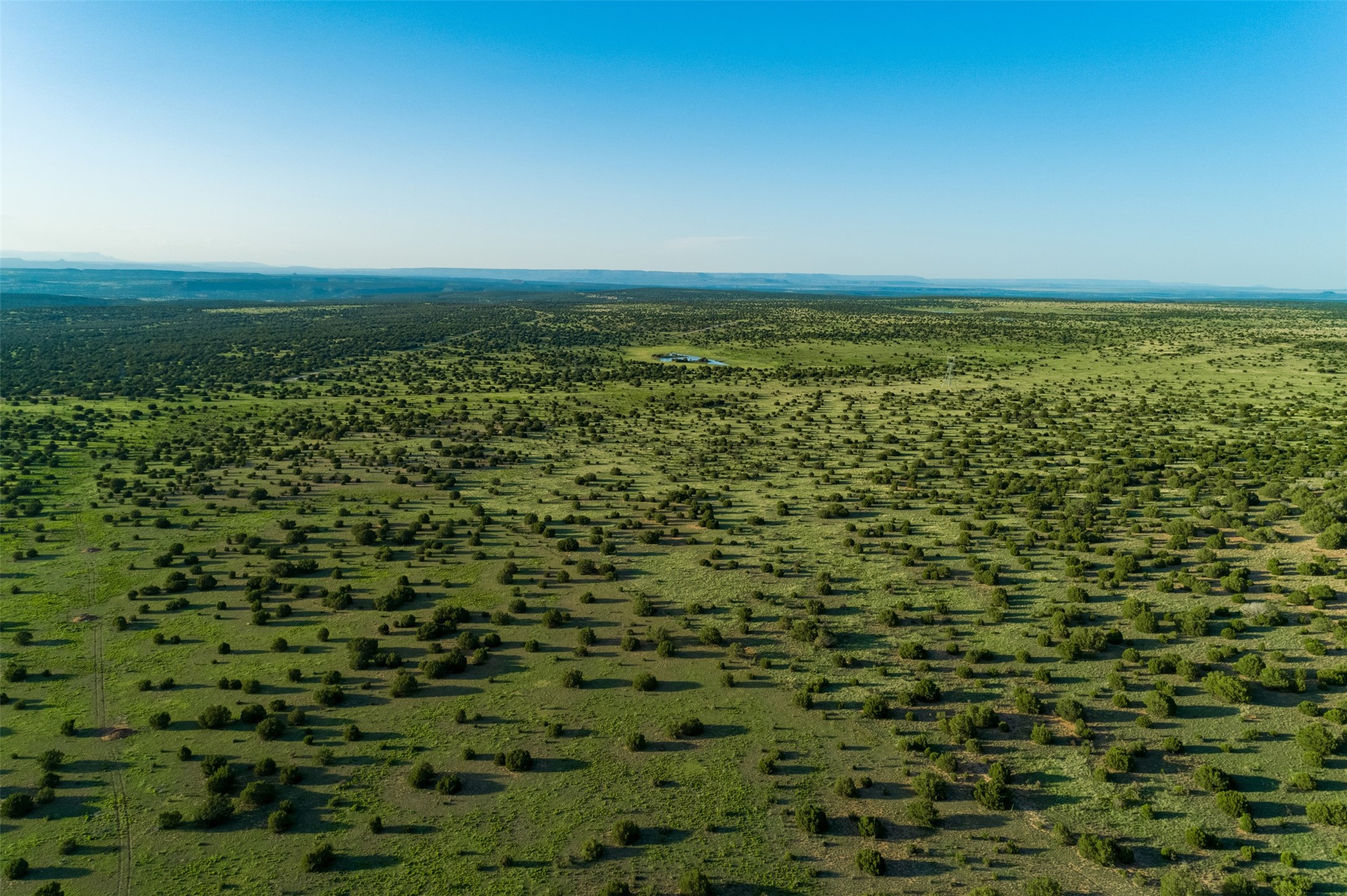 4221 Palo Amarillo Road