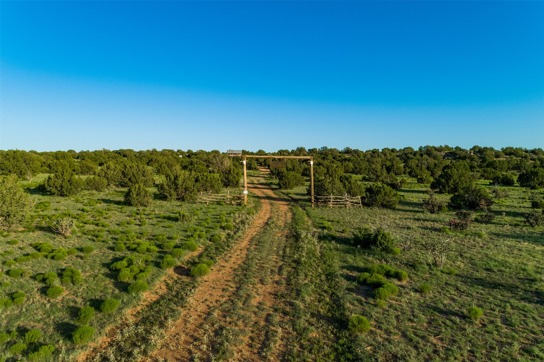 4221 Palo Amarillo Road