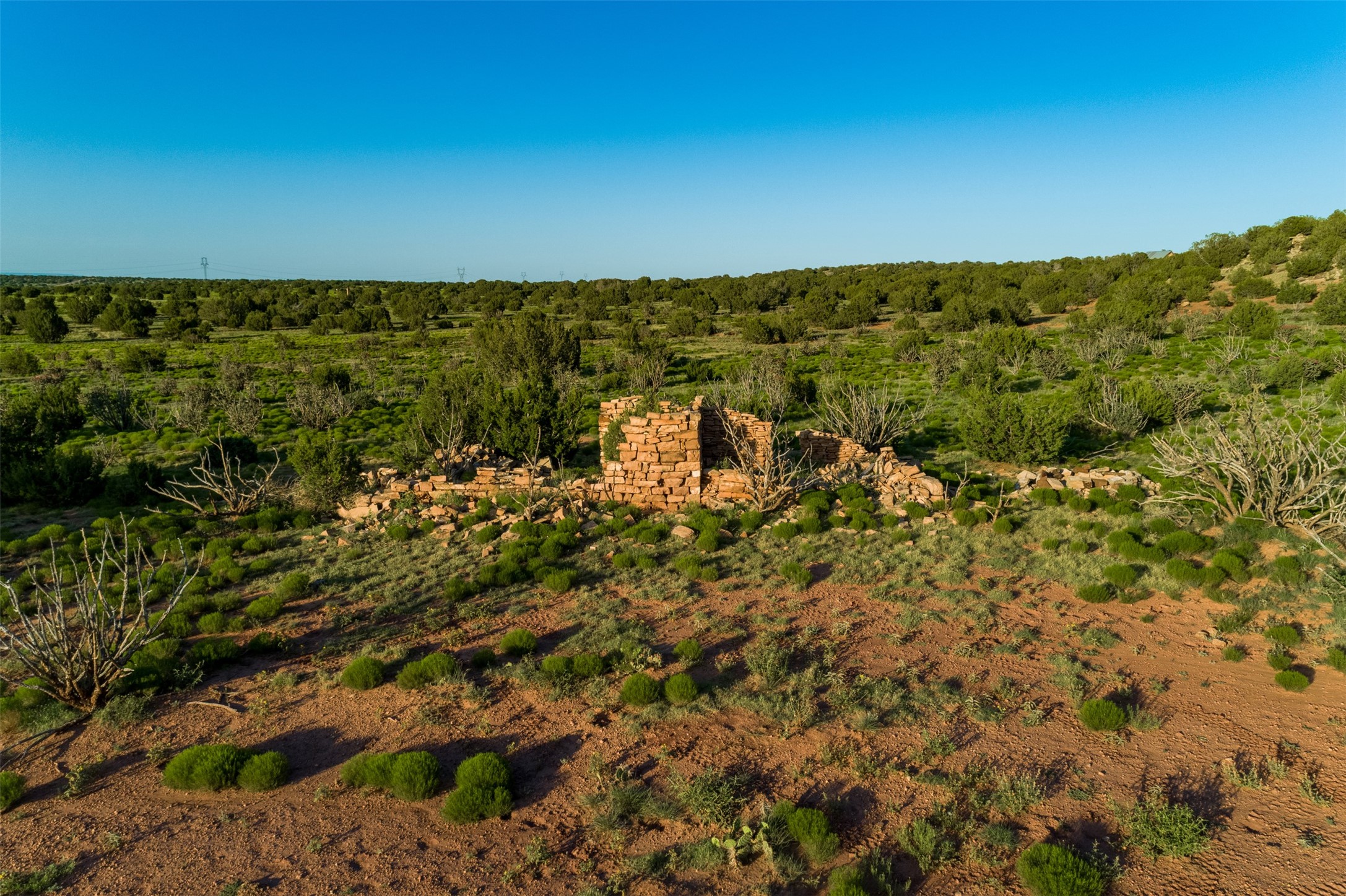 4221 Palo Amarillo Road