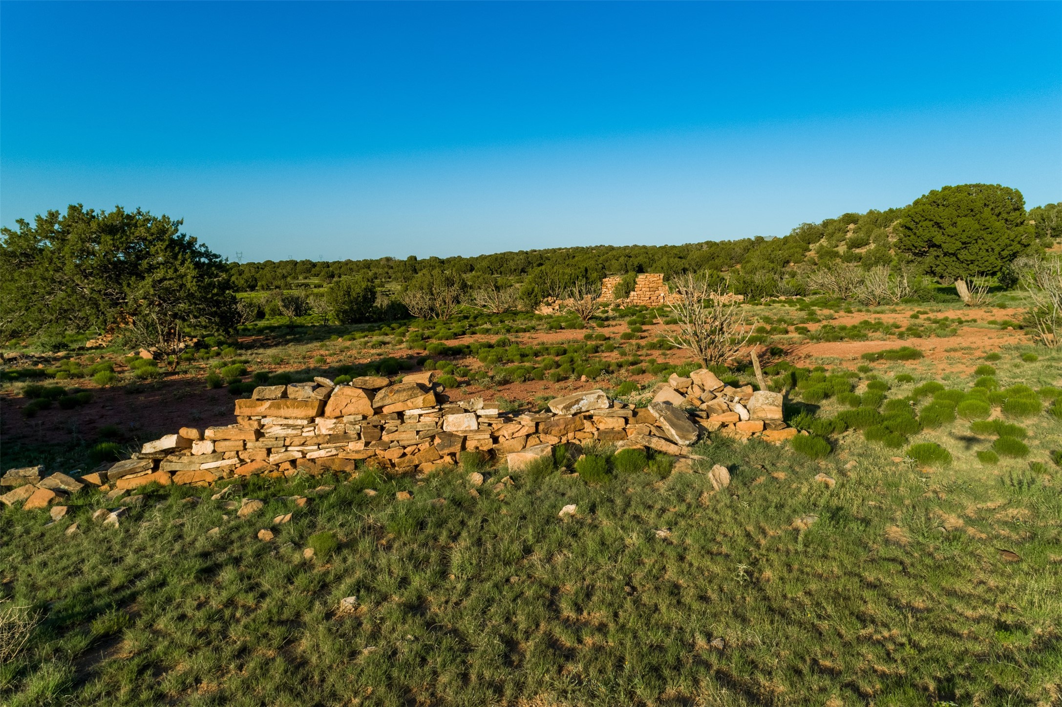 4221 Palo Amarillo Road