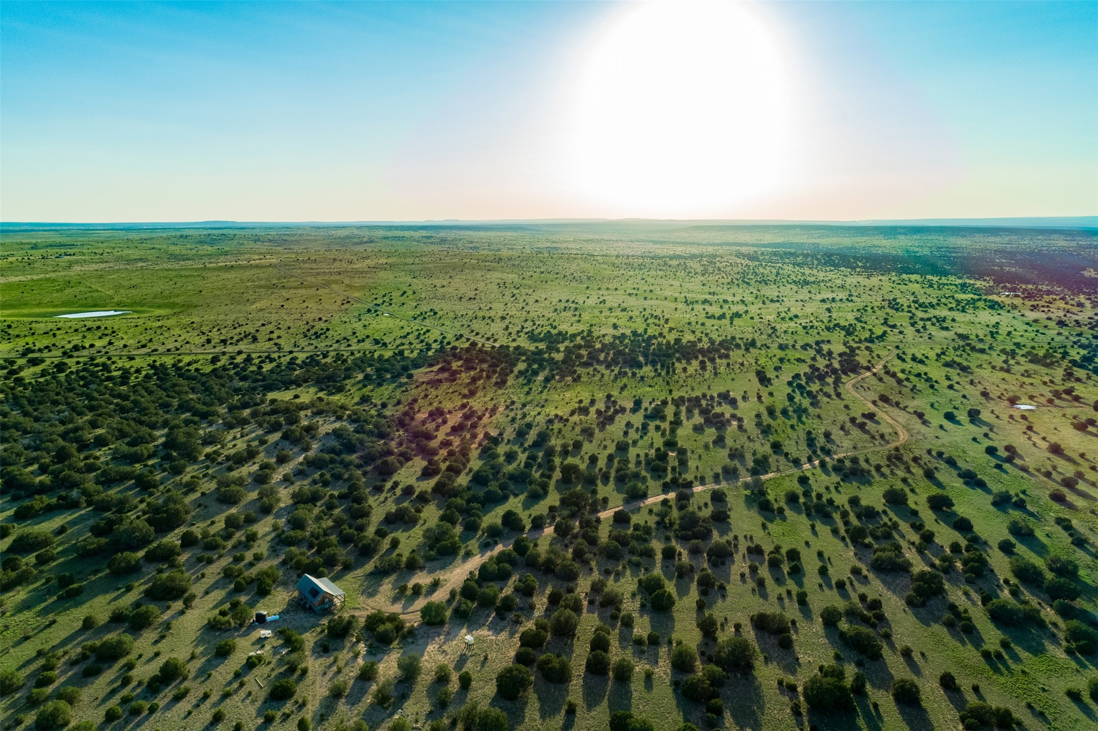 4221 Palo Amarillo Road