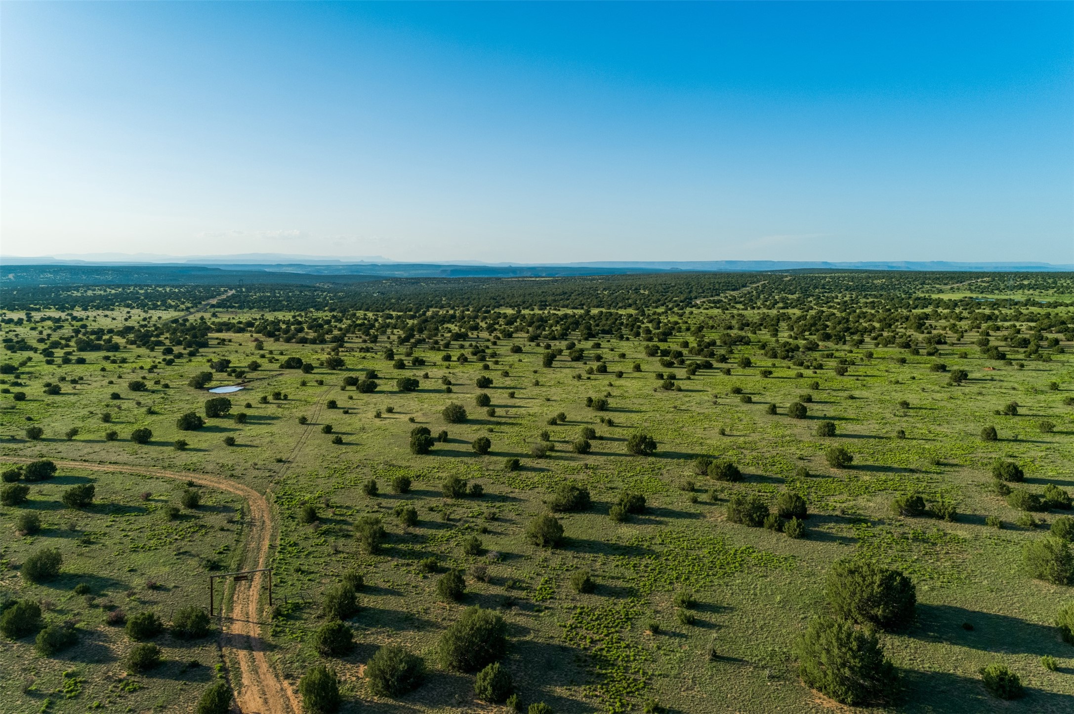 4221 Palo Amarillo Road