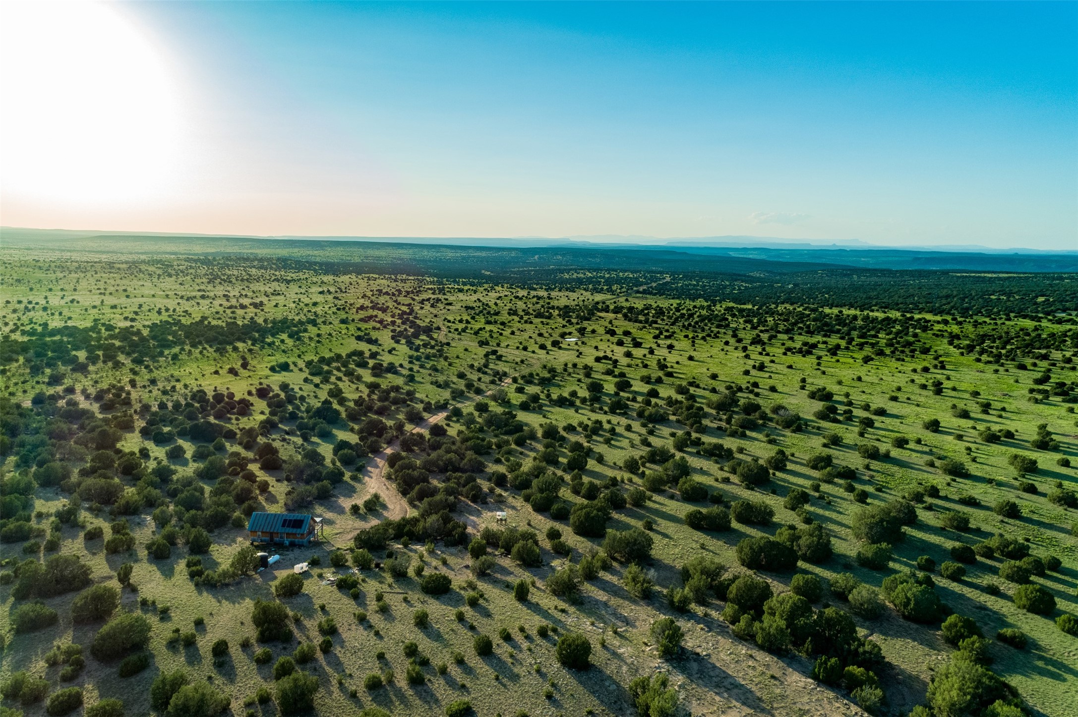 4221 Palo Amarillo Road