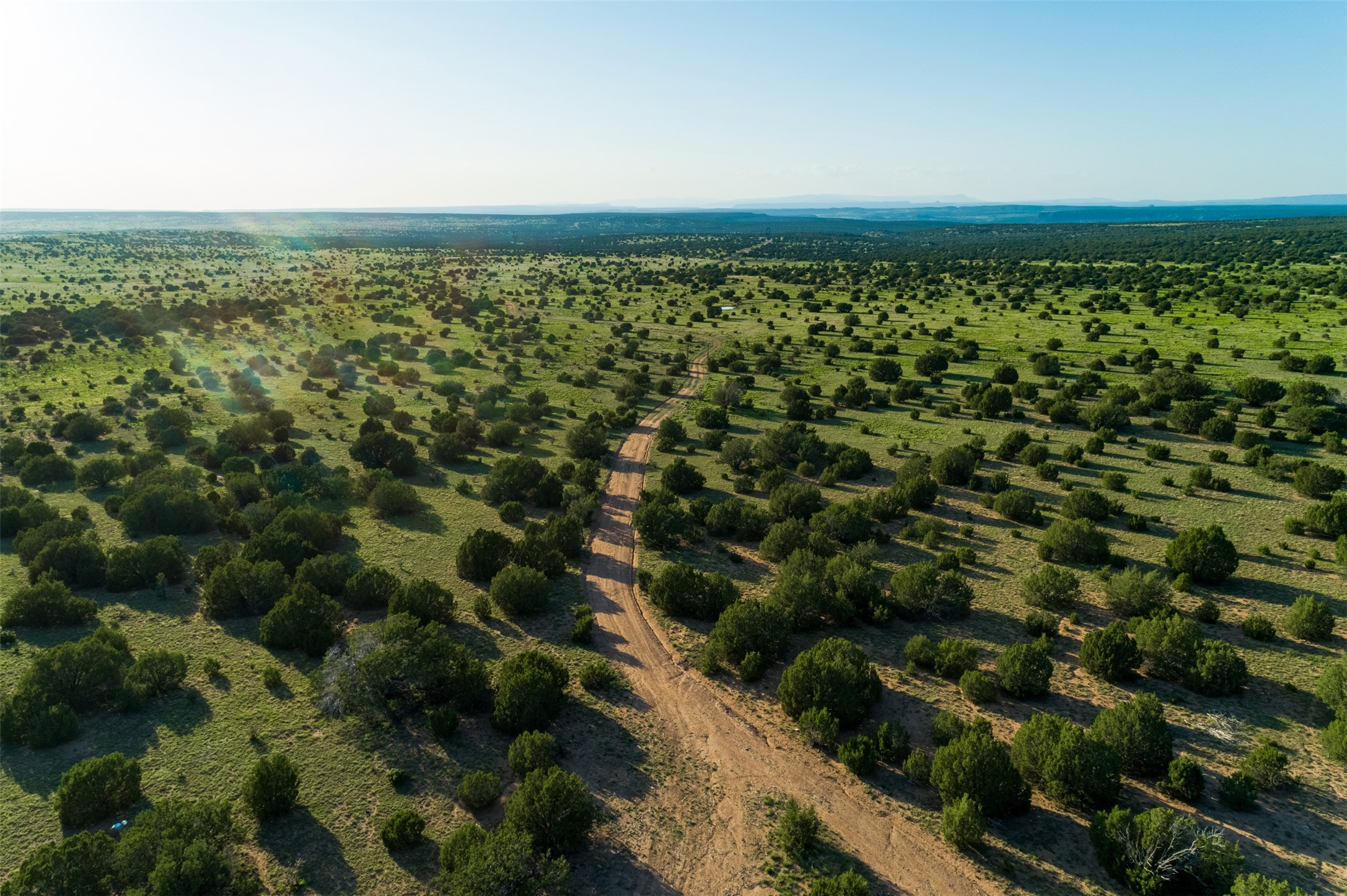 4221 Palo Amarillo Road