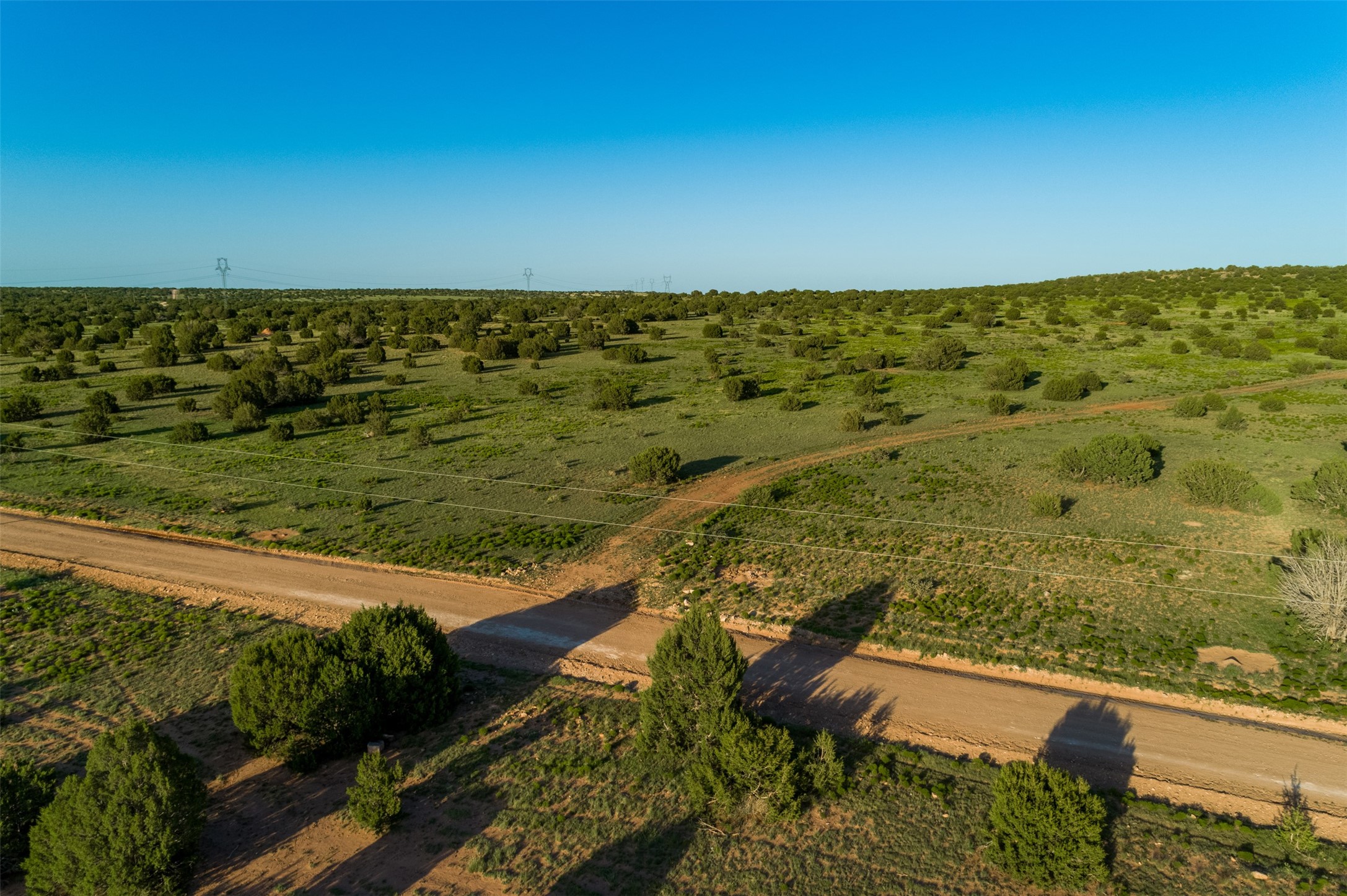 4221 Palo Amarillo Road