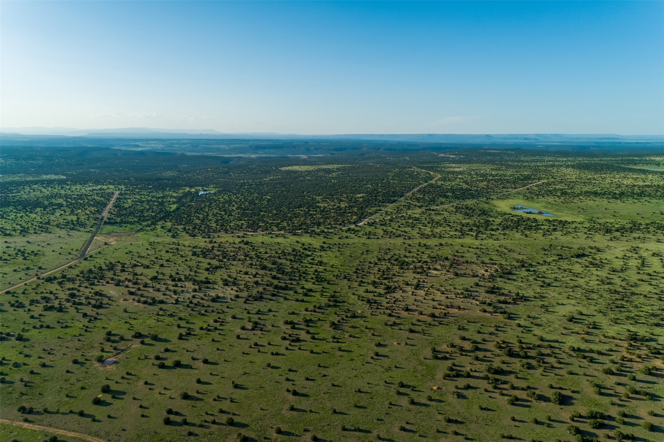 4221 Palo Amarillo Road