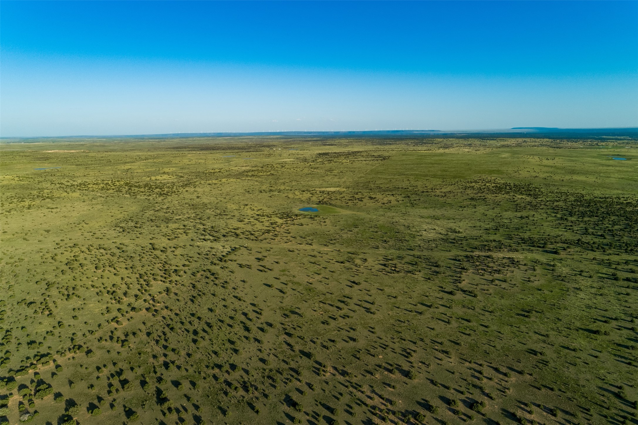 4221 Palo Amarillo Road