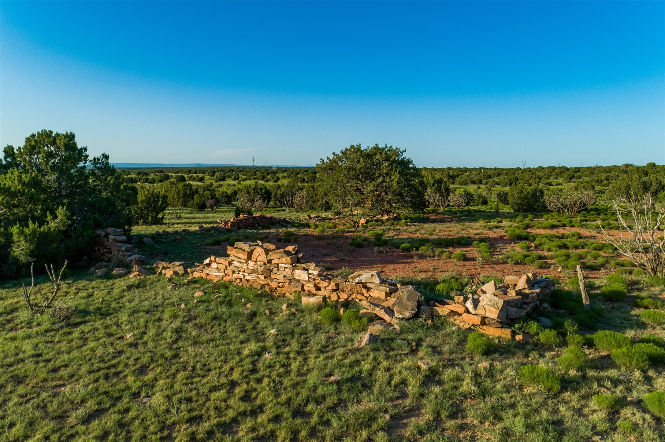 4221 Palo Amarillo Road