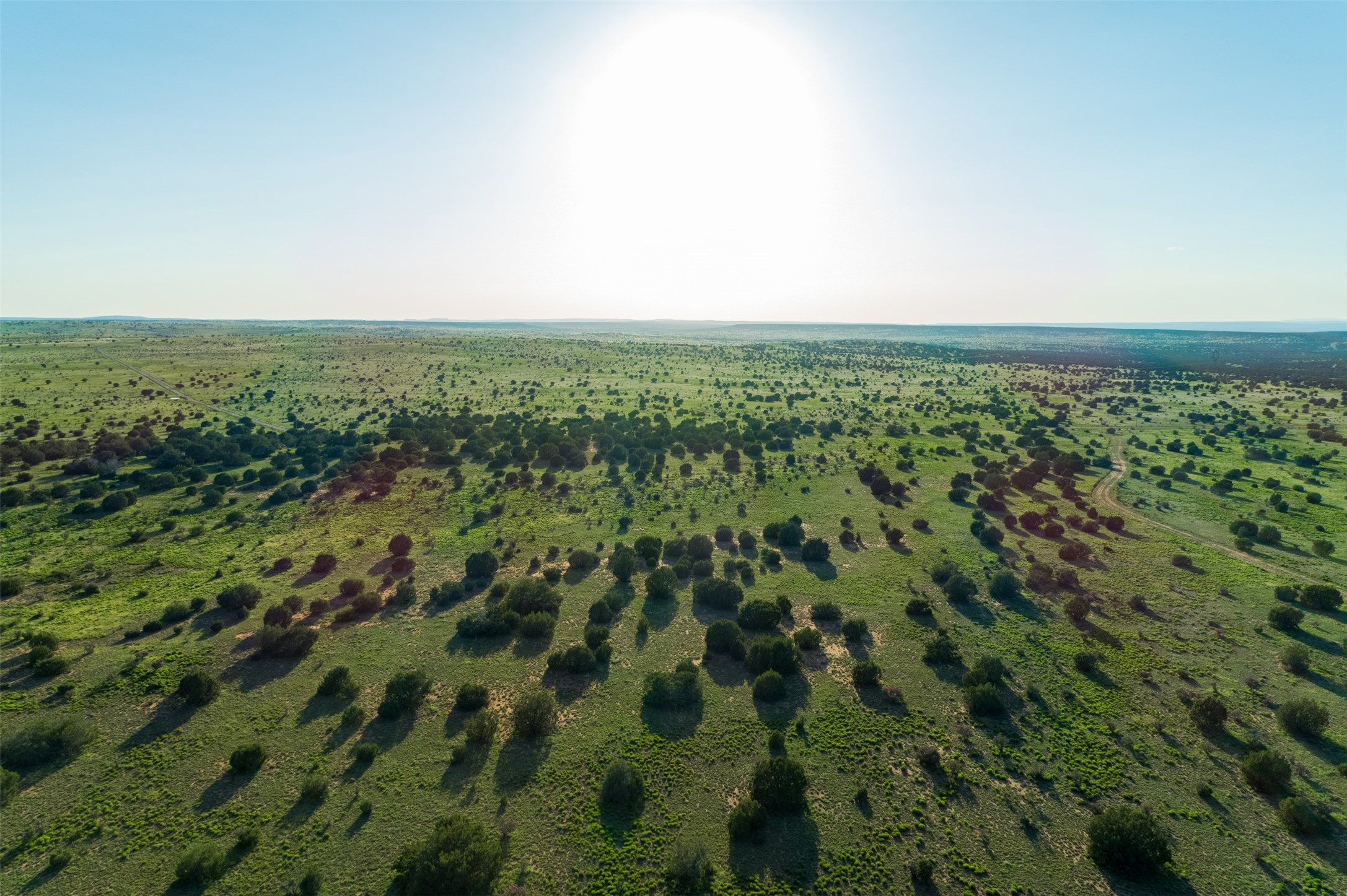 4221 Palo Amarillo Road