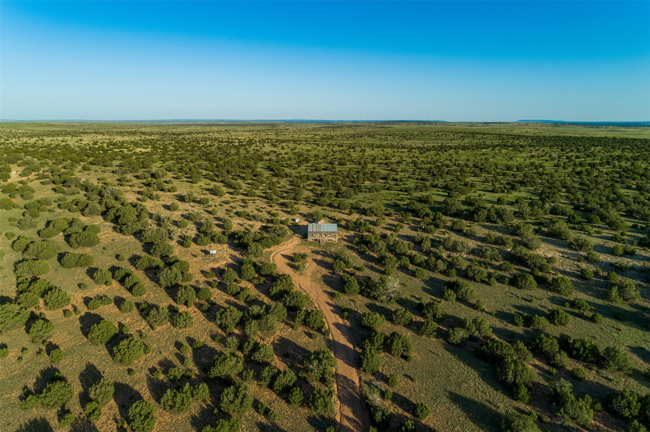 4221 Palo Amarillo Road