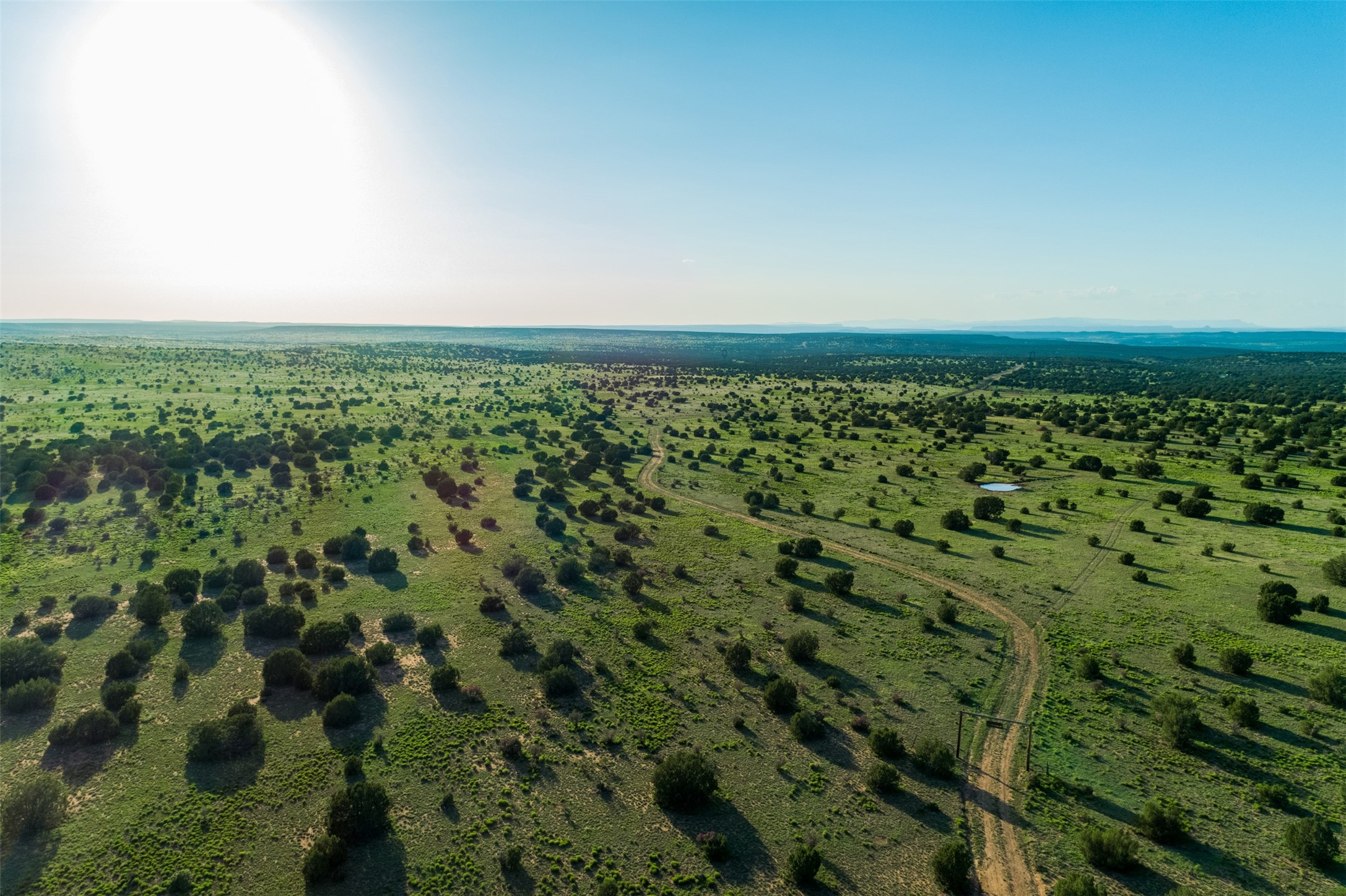 4221 Palo Amarillo Road