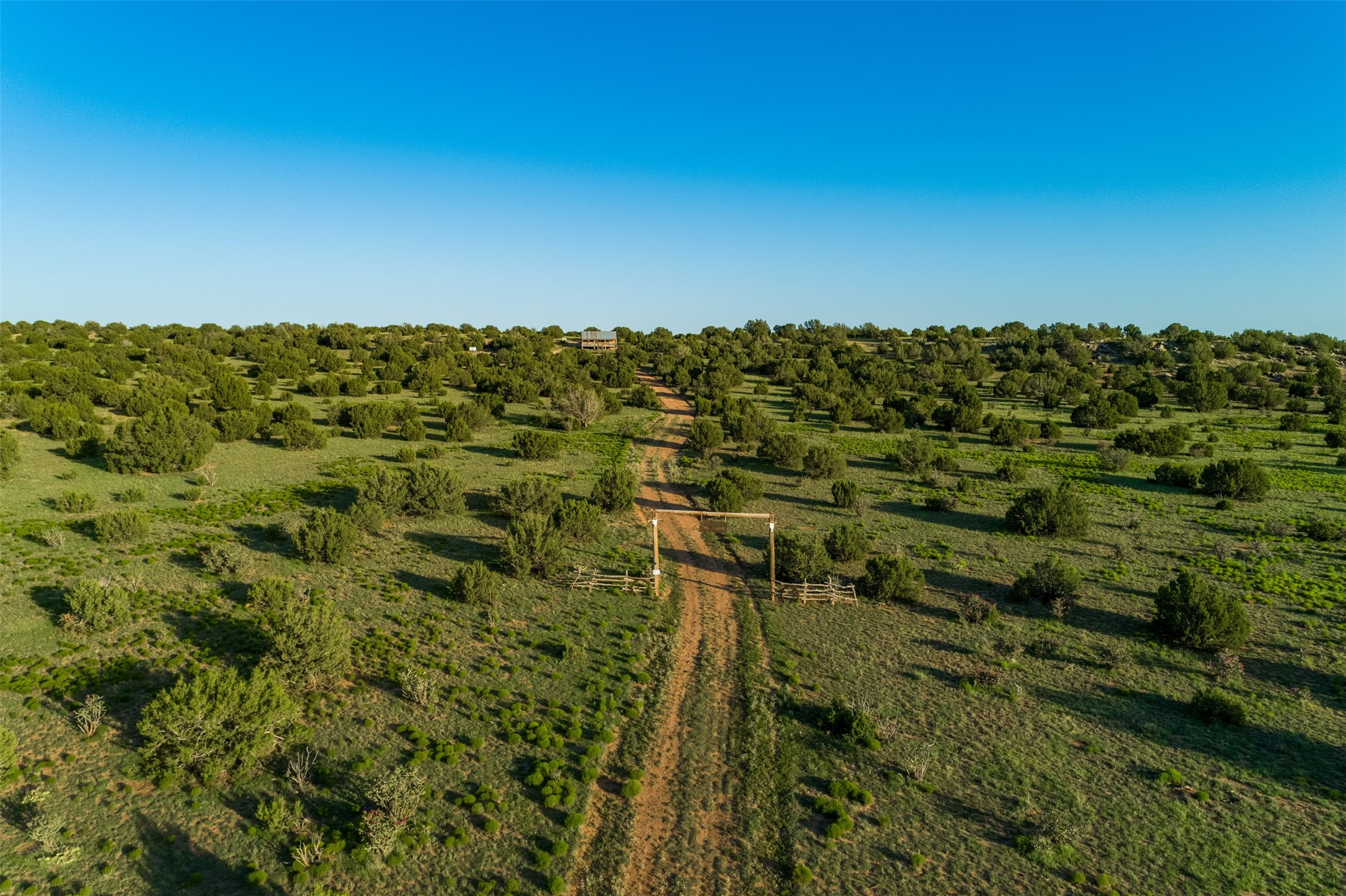 4221 Palo Amarillo Road