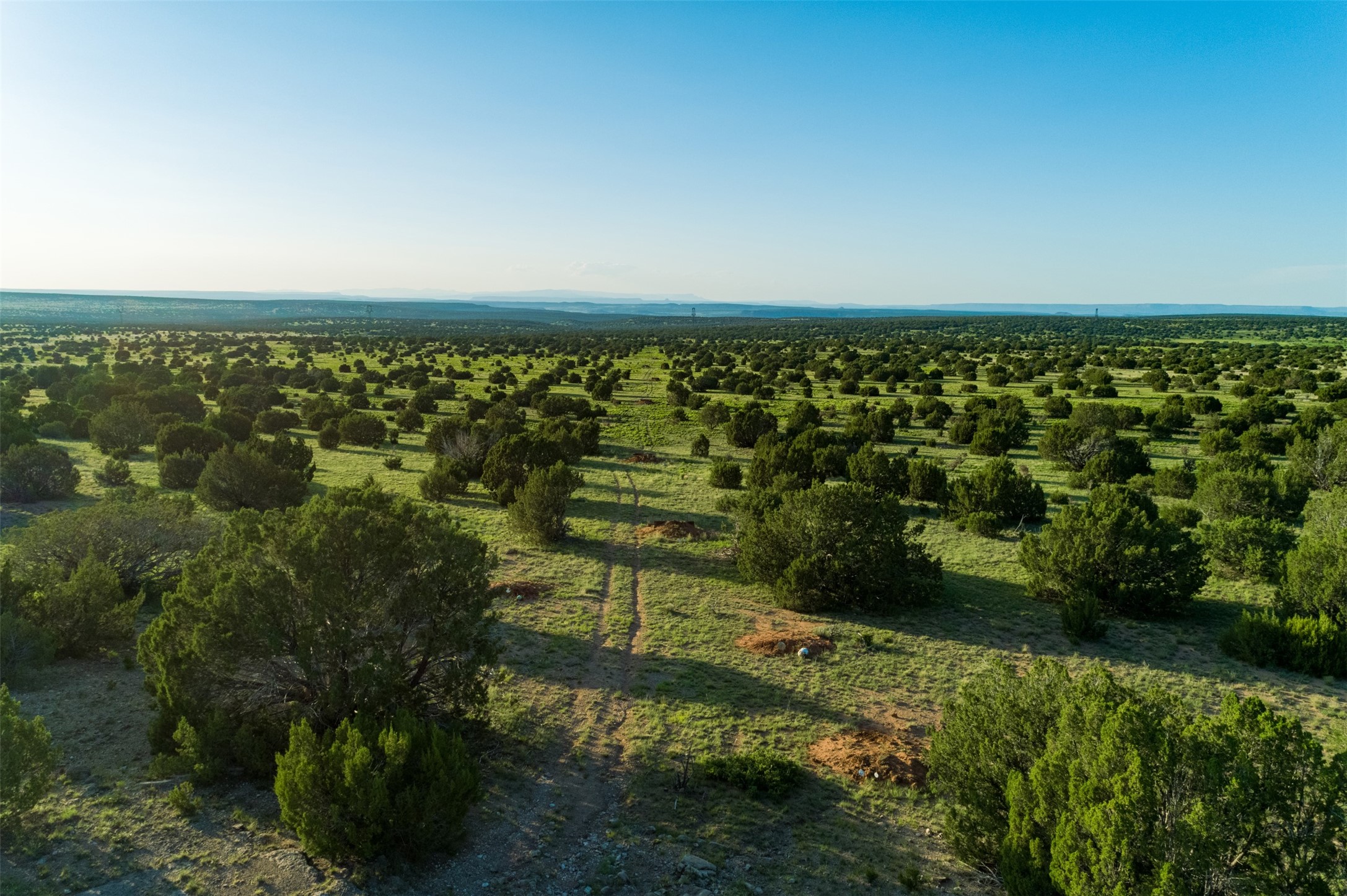 4221 Palo Amarillo Road