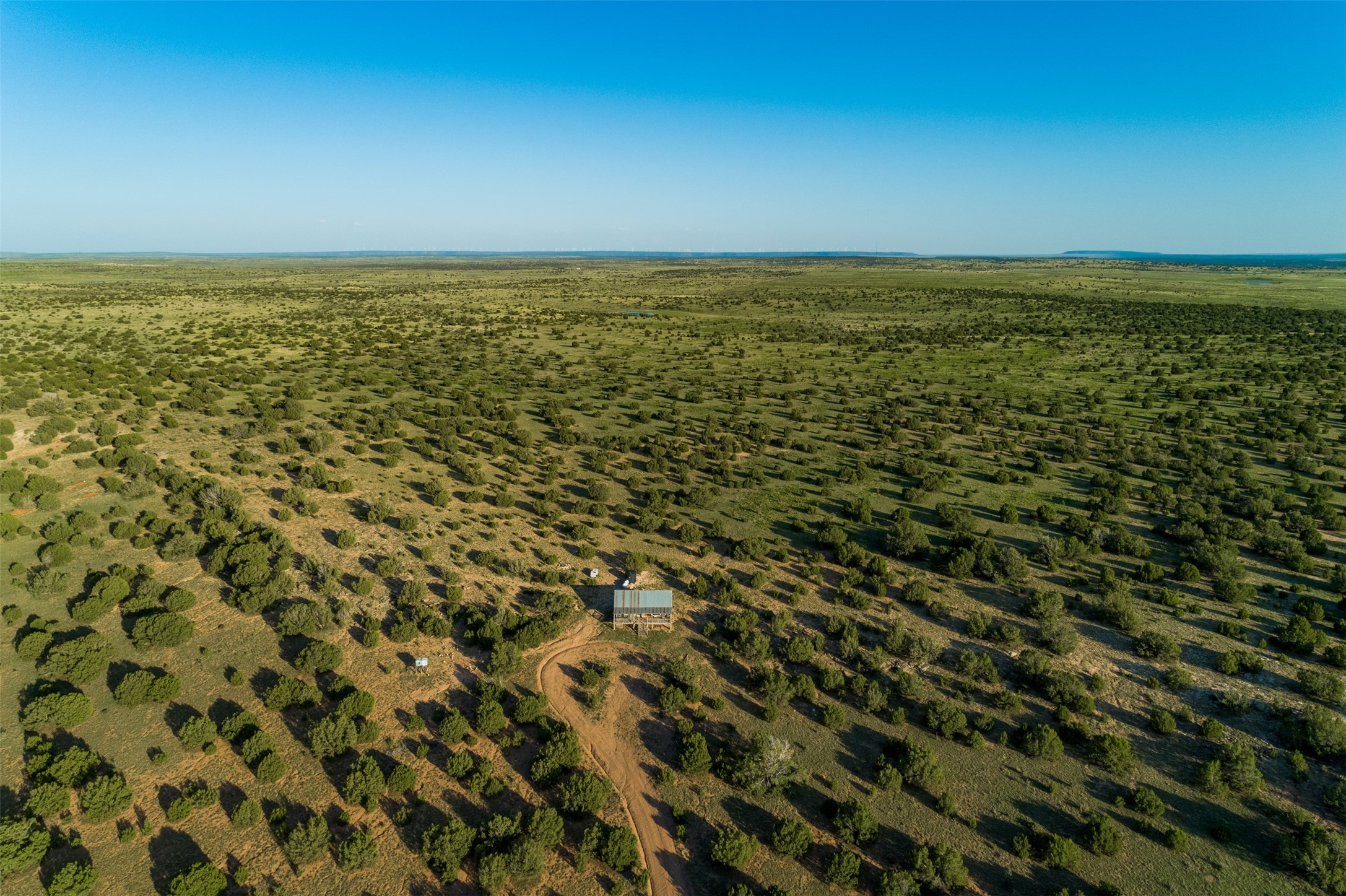 4221 Palo Amarillo Road